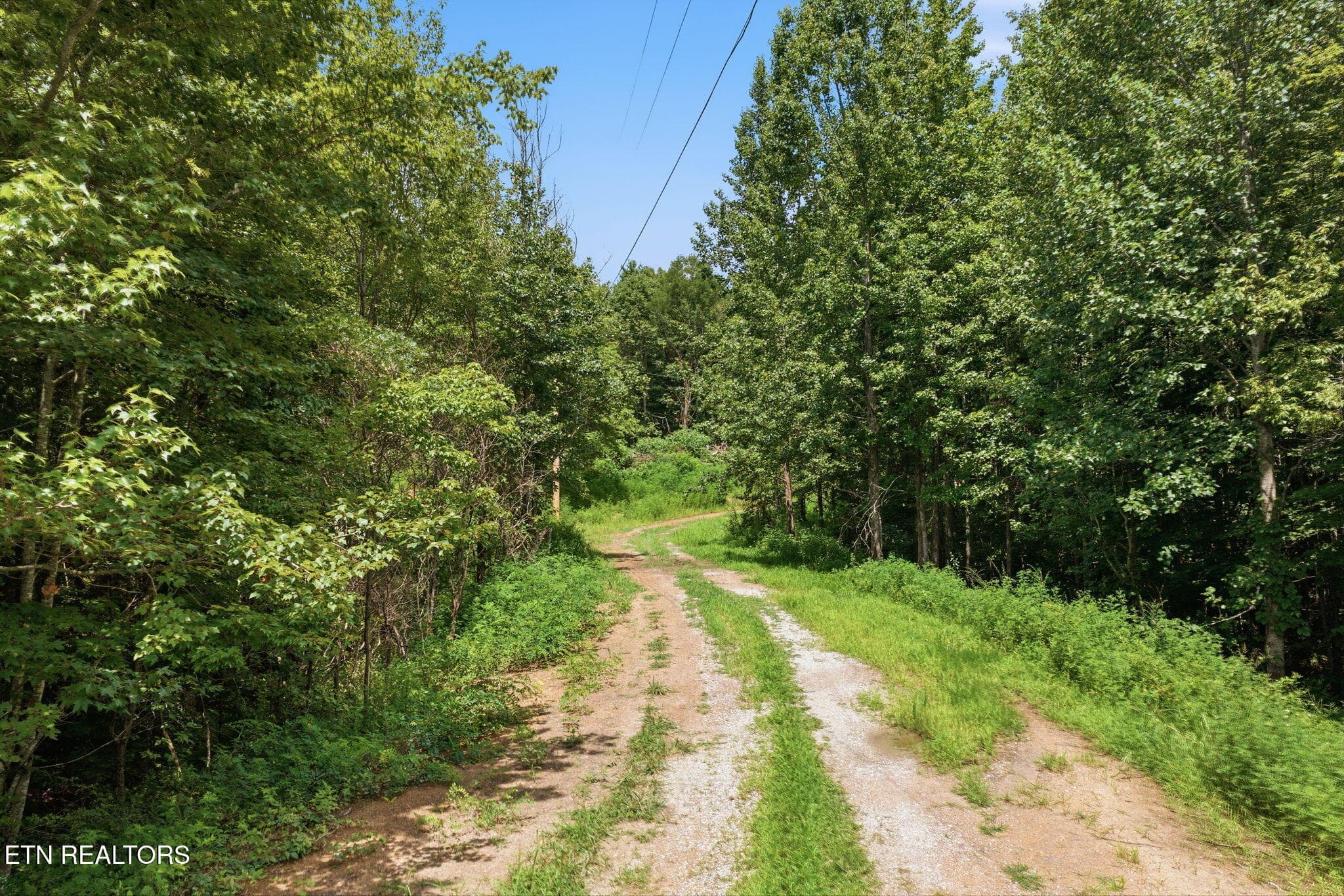 64-web-or-mls-021_Winfield-085 - 0 Cordell Mtn Pvt Lane, Winfield, TN 37892