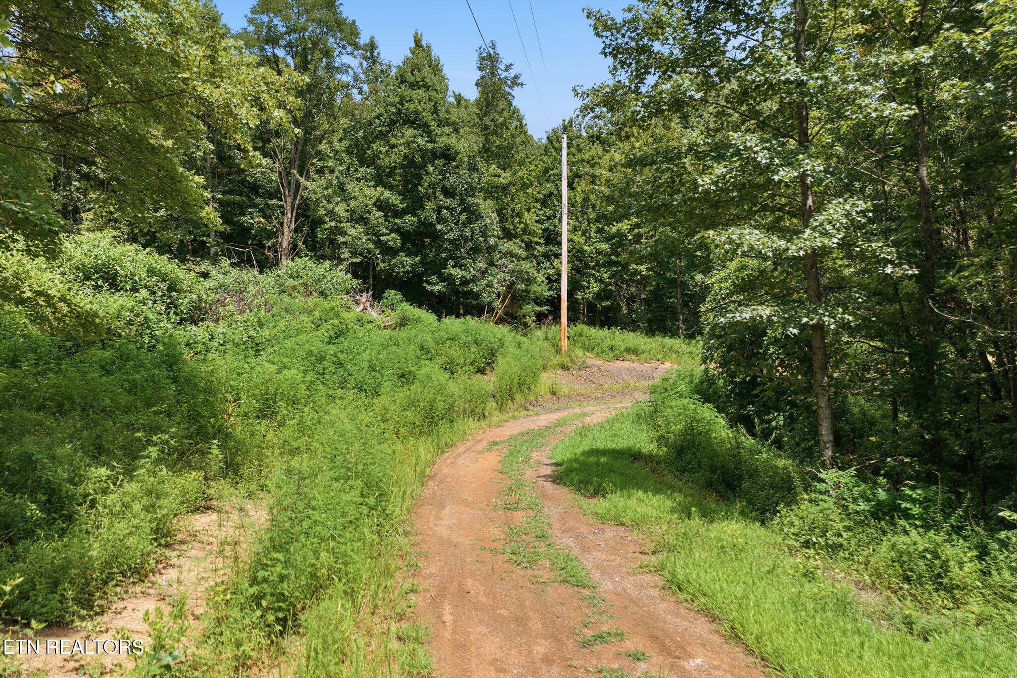 65-web-or-mls-022_Winfield-090 - 0 Cordell Mtn Pvt Lane, Winfield, TN 37892