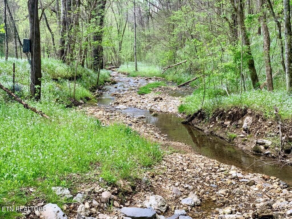 210201_18 - 700 Ben Birdwell Lane, Bloomington Springs, TN 38545