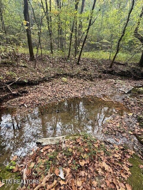 240235_77 - 700 Ben Birdwell Lane, Bloomington Springs, TN 38545