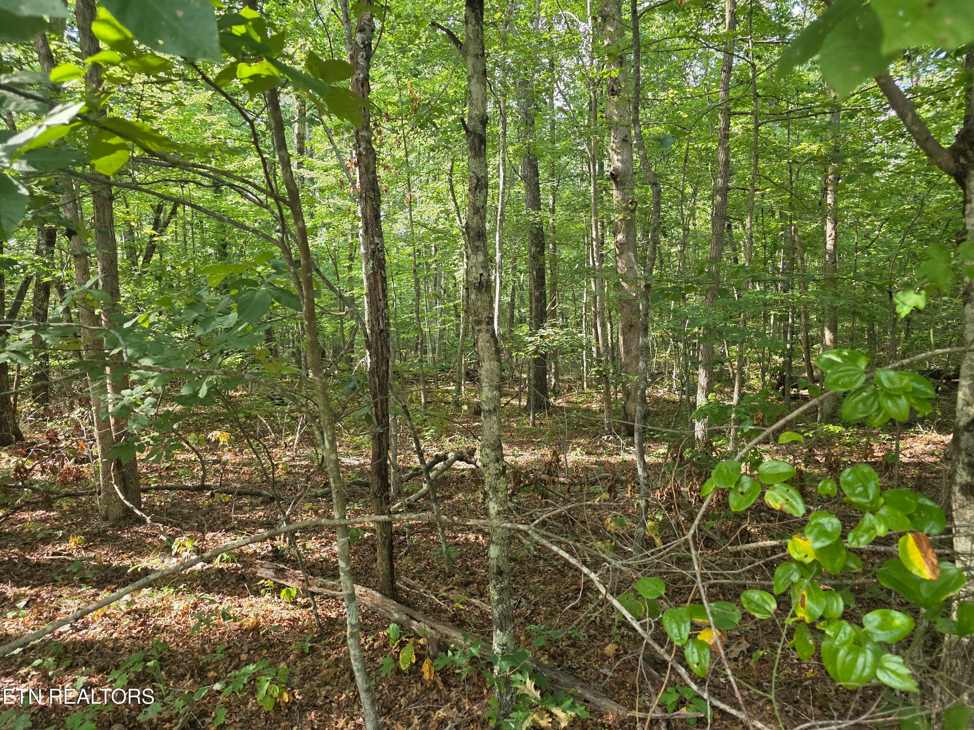 1000029717 - 6 Cumberland Lakes Drive, Monterey, TN 38574
