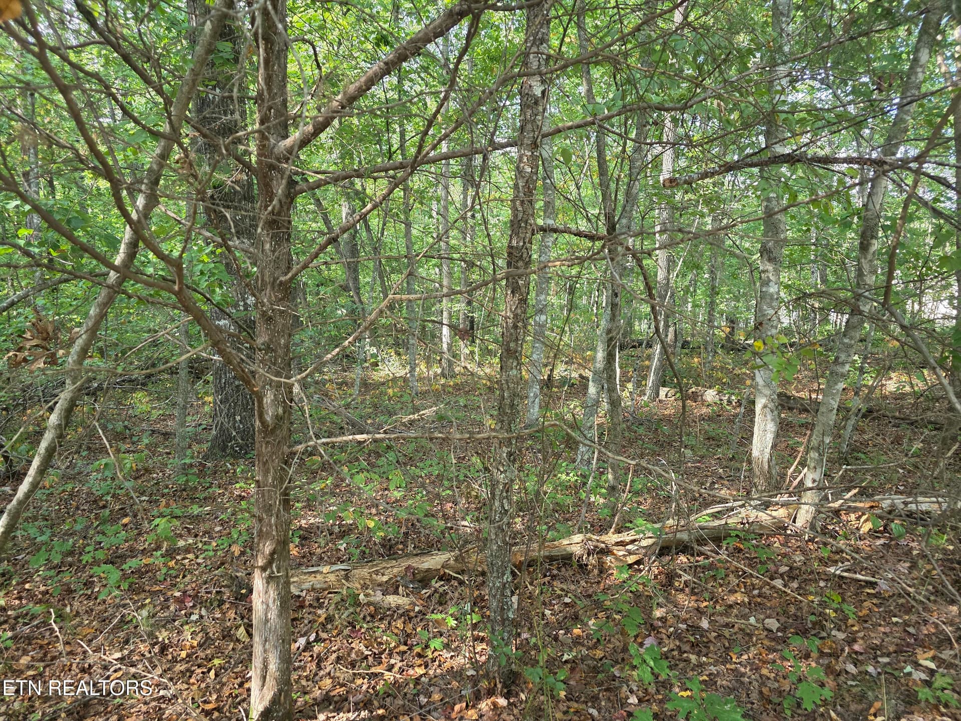 1000029714 - 6 Cumberland Lakes Drive, Monterey, TN 38574