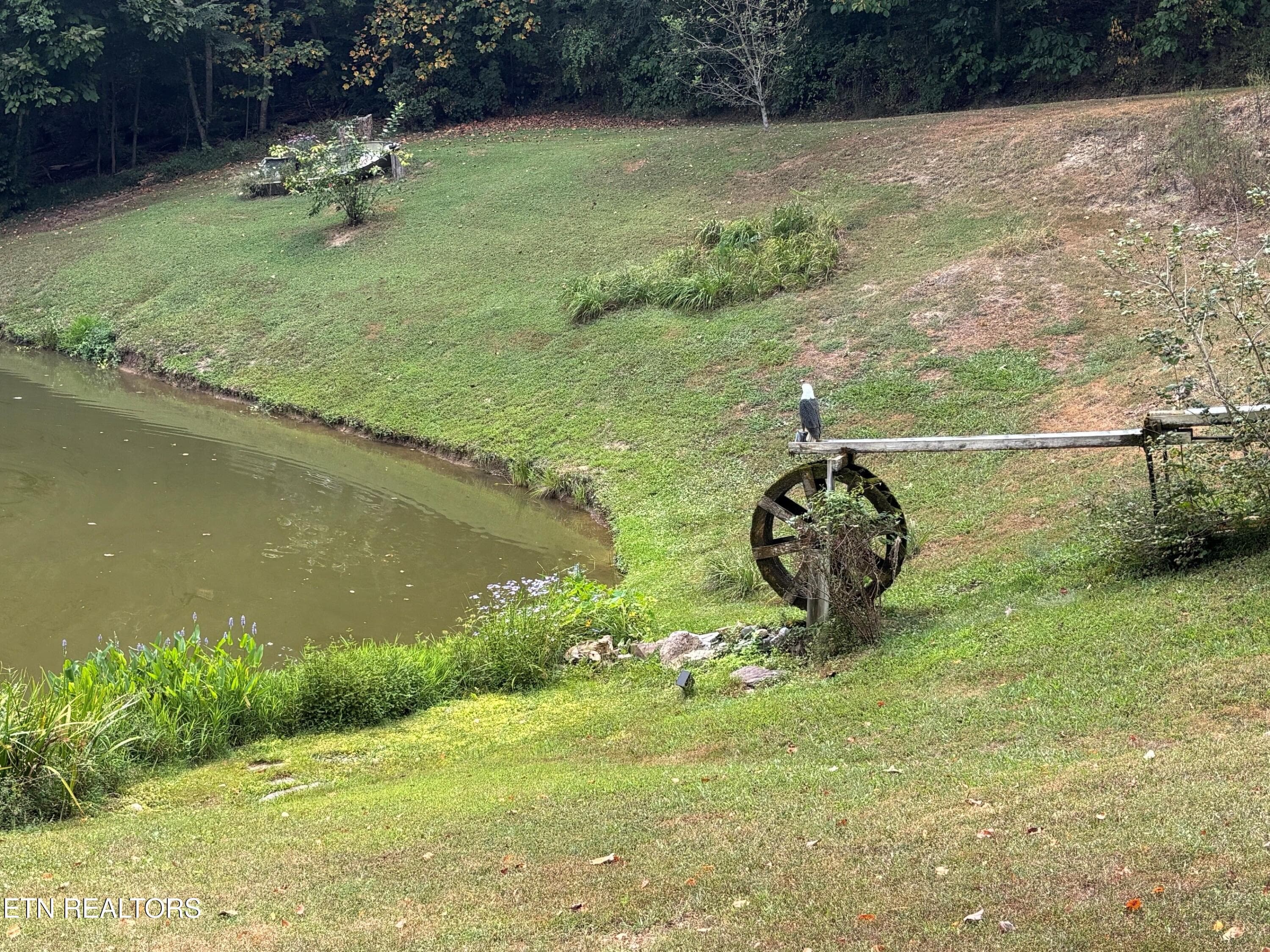 water wheel 1 - 5919 Atkins Rd, Knoxville, TN 37918