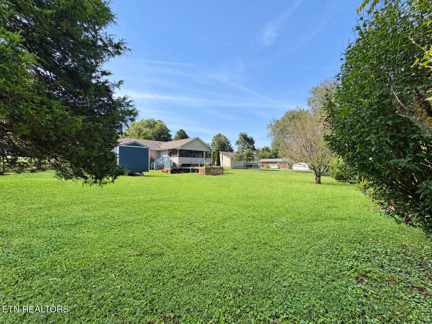 Backyard - 445 Kristy Lane, Evensville, TN 37332