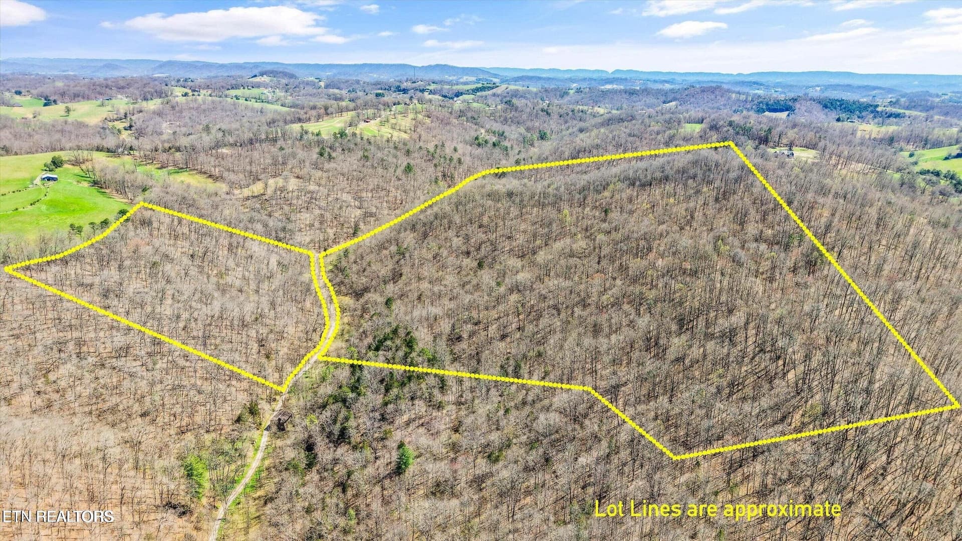515 Robinson Rd, New Tazewell, TN 37825