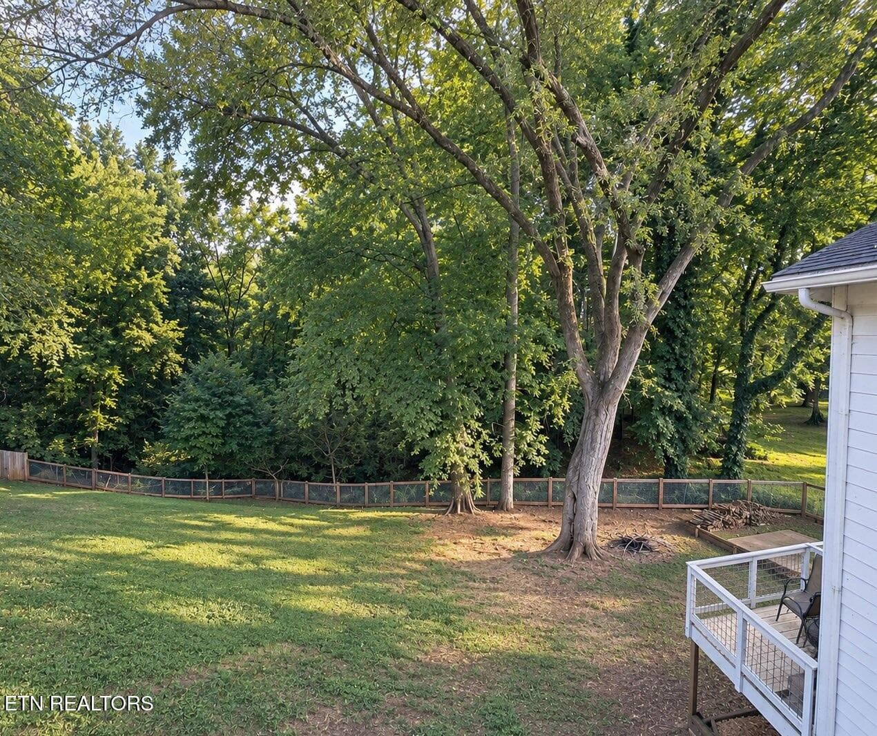 Deck view - 1932 Duncan Rd, Knoxville, TN 37919