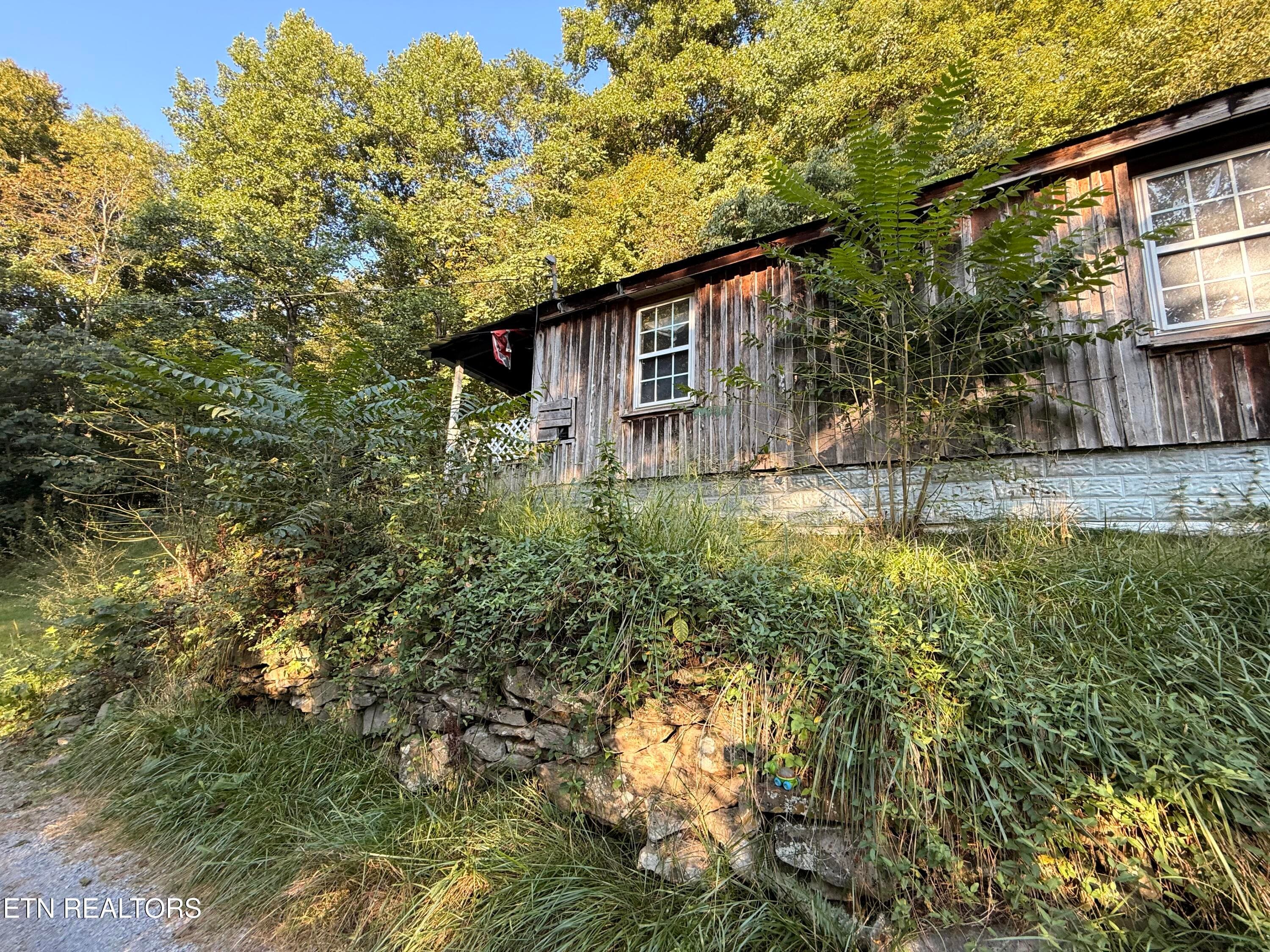 IMG_3663 - 336 Webb Hill Rd, St. Charles, VA 24282, St. Charles