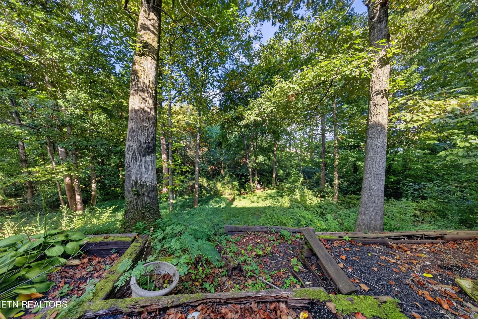 backyard - 1428 Pine Springs Rd, Knoxville, TN 37922