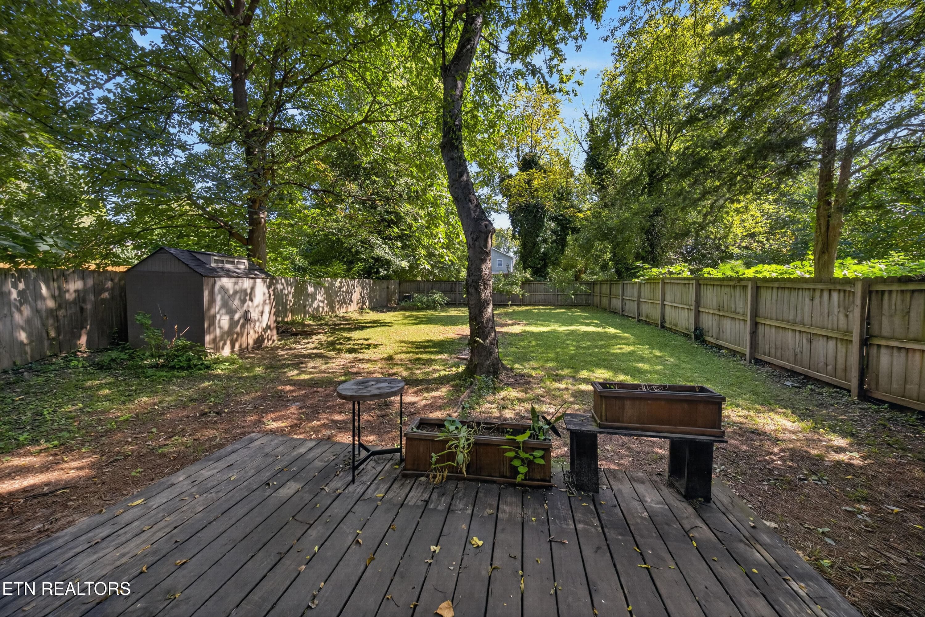 Backyard - 1613 Dunbar St, Knoxville, TN 37921
