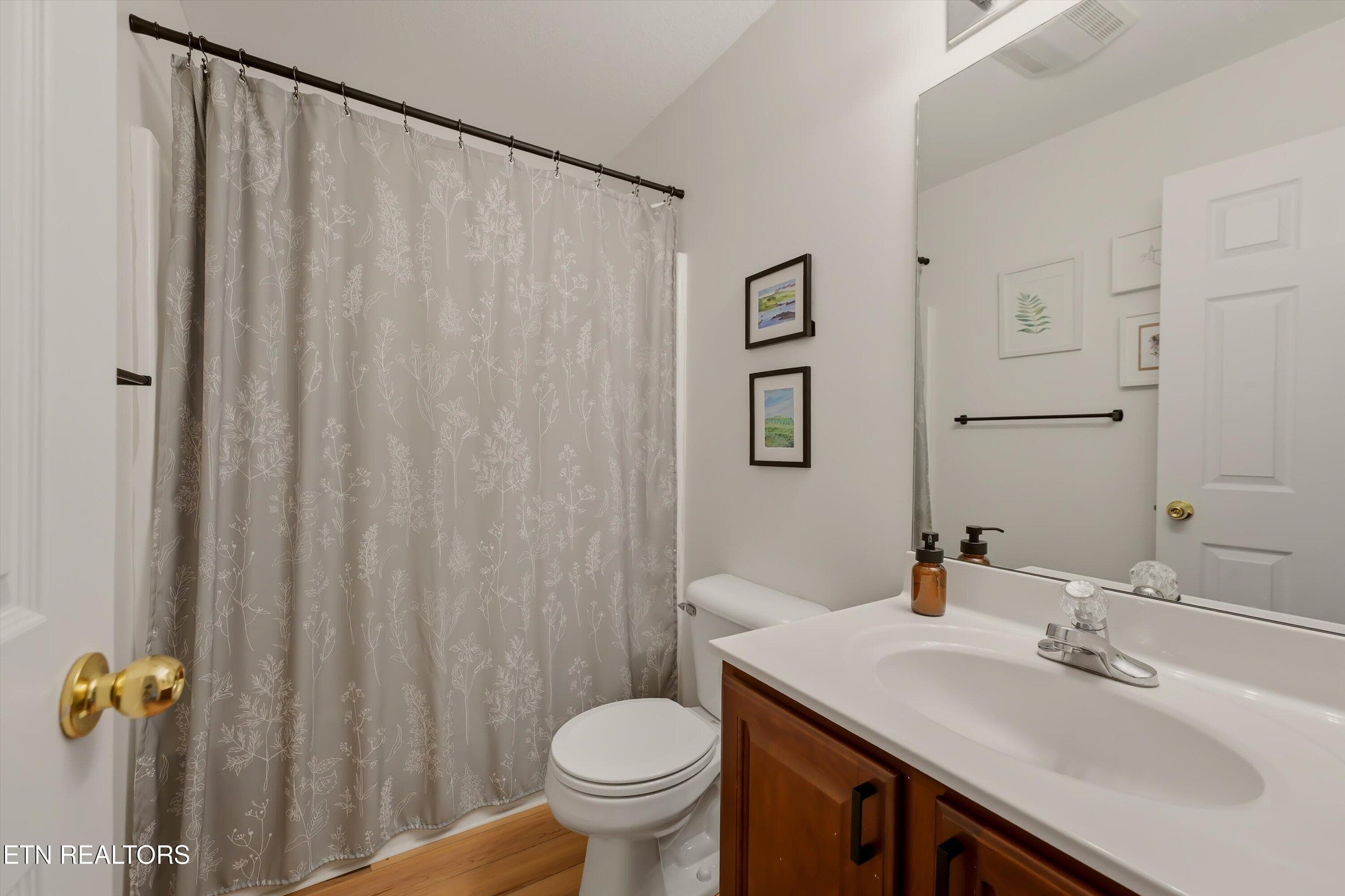 Upstairs Hall Bathroom - 5838 Wall Flower Lane, Knoxville, TN 37924, Knoxville