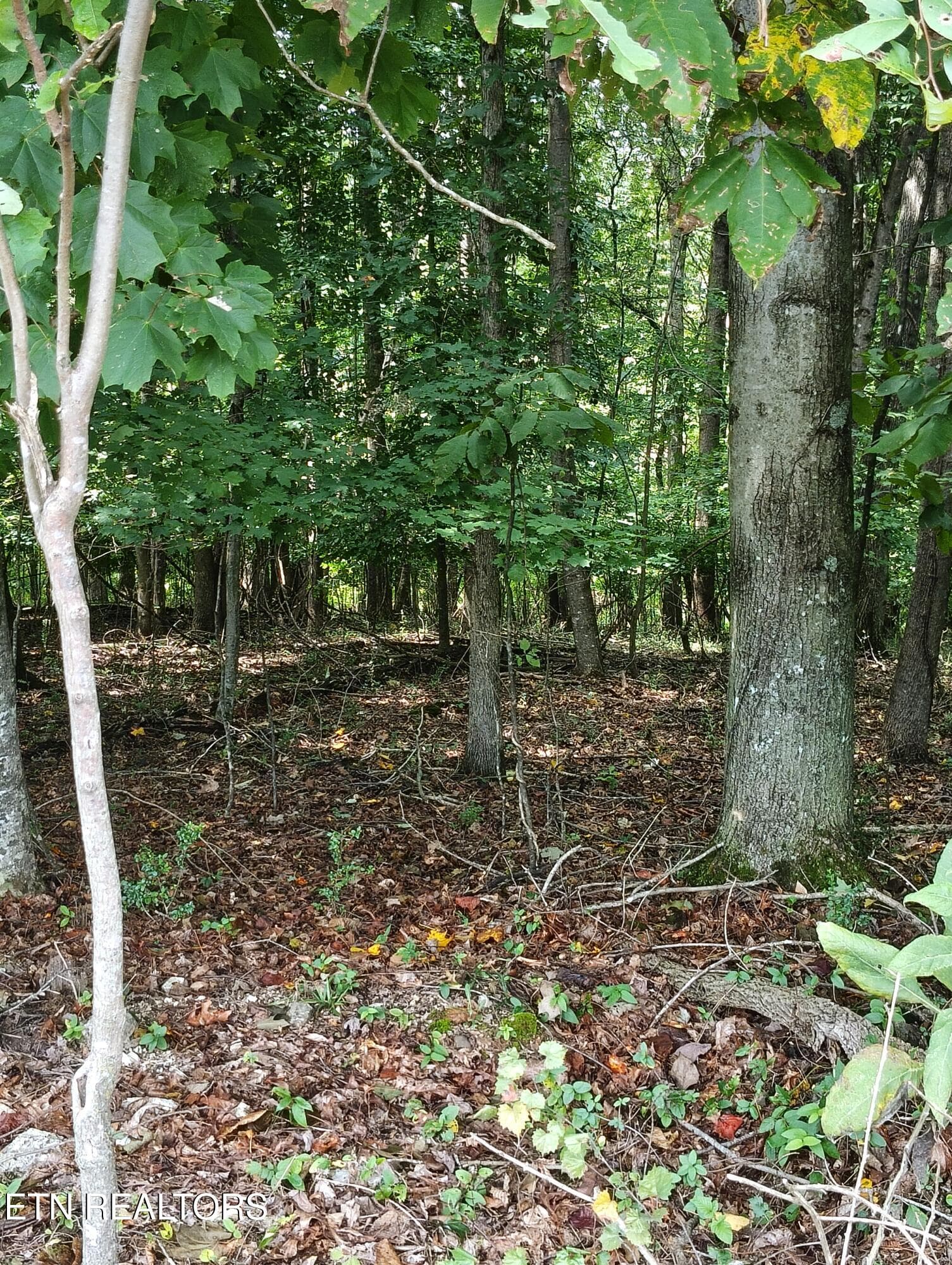 1000001287 - 9500 E Matlock Bend Rd, Loudon, TN 37774, Loudon