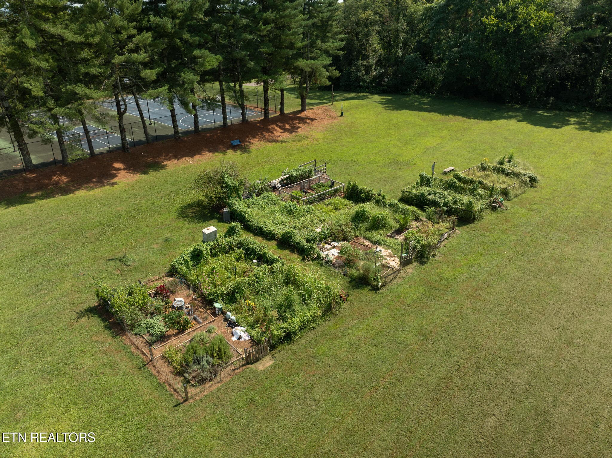 untitled-41 - 1954 Cherokee Bluff Drive, Knoxville, TN 37920, Knoxville