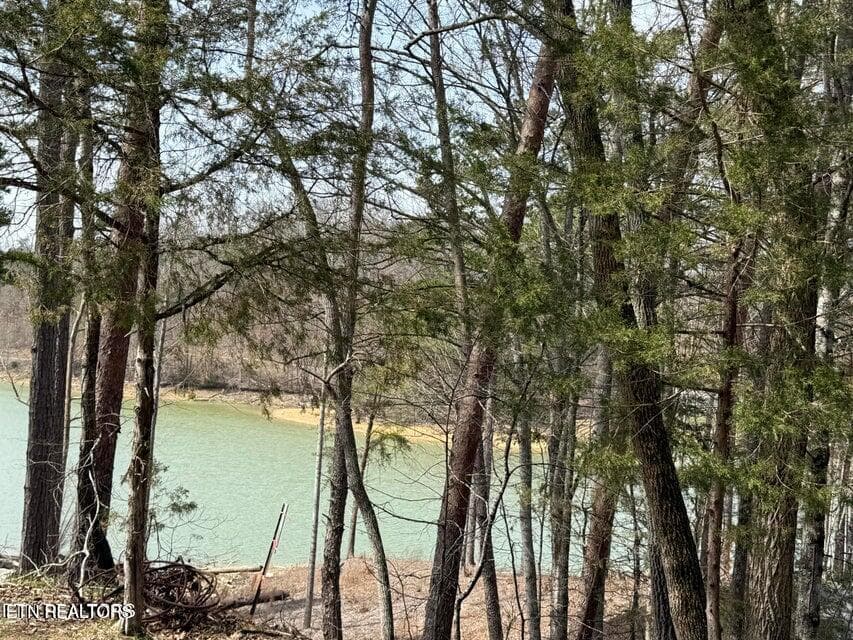 SUMMER BREEZE Lane, New Tazewell, TN 37825