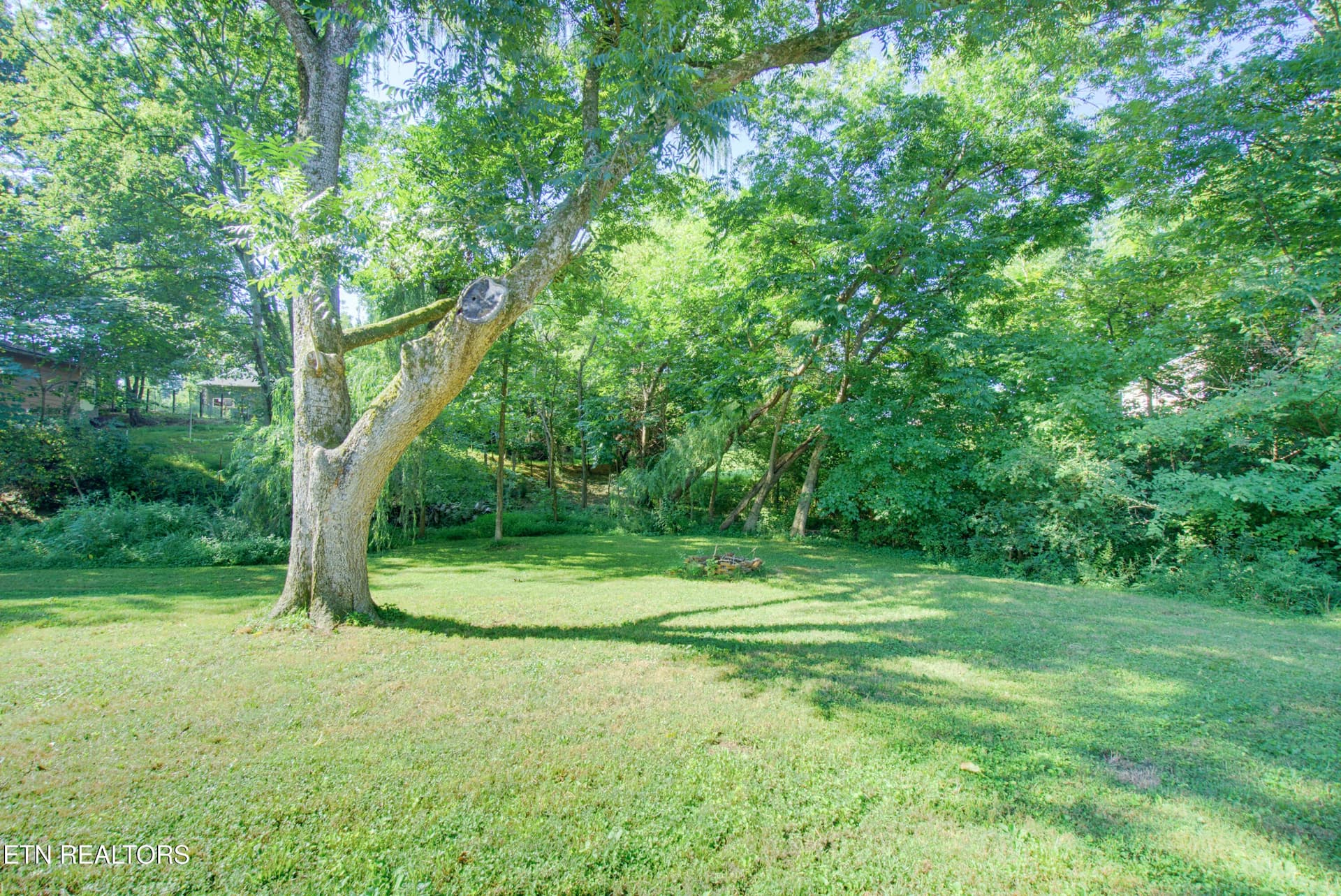 136 County Rd 909-22 - 136 County Road 909, Etowah, TN 37331