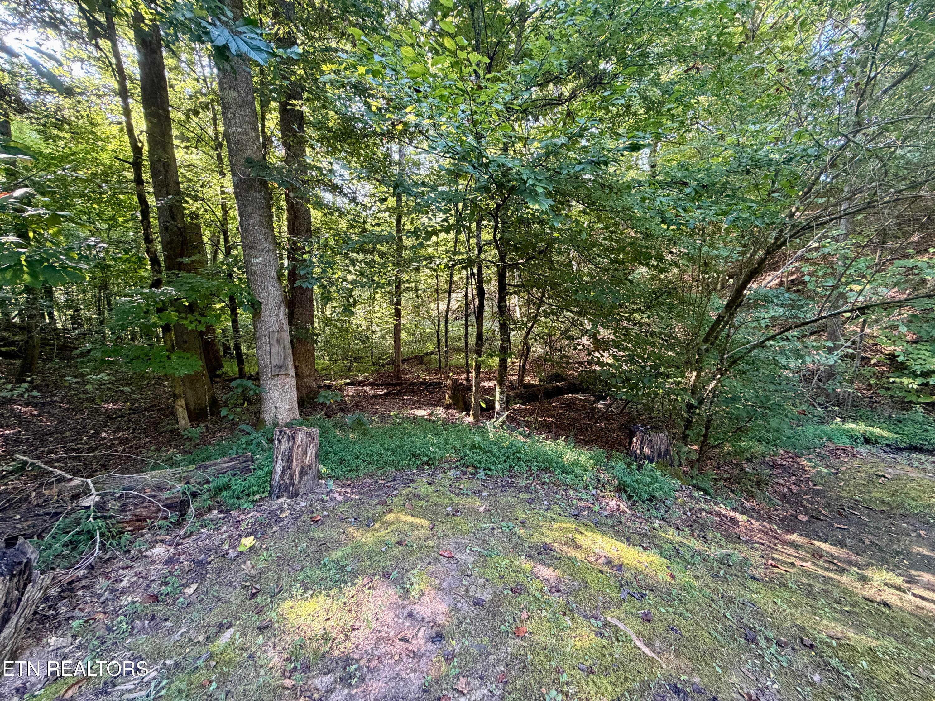 Trail Leading to Water Access - 204 Black Fox Harbor Rd, Washburn, TN 37888, Washburn