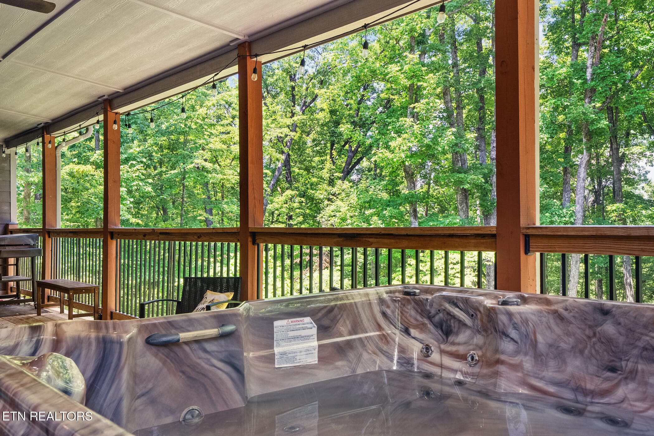 dsc05436 - 2612 Cloud View Drive, Sevierville, TN 37862, Sevierville
