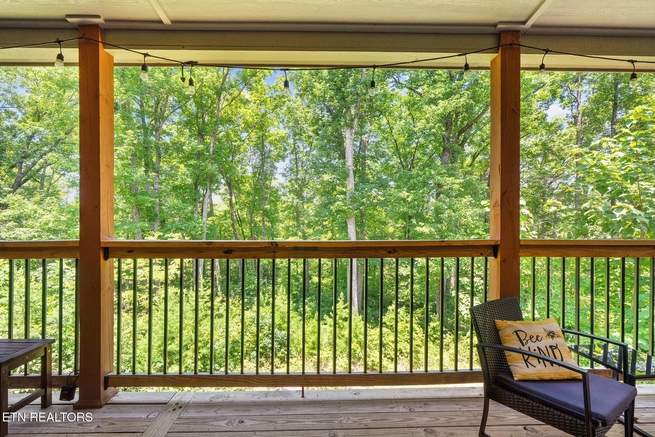 dsc05446 - 2612 Cloud View Drive, Sevierville, TN 37862, Sevierville