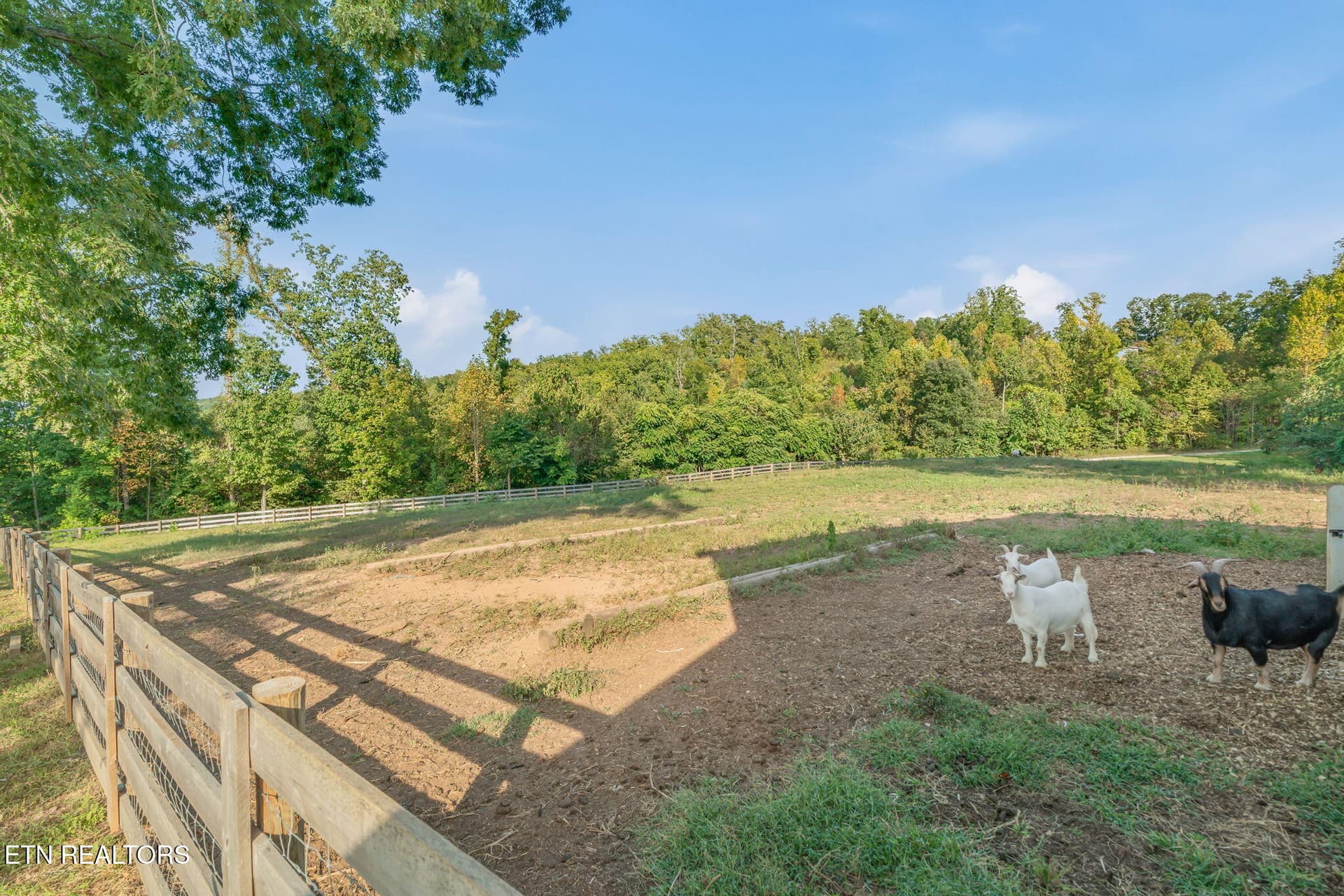 33-web-or-mls-340 Honeybee Lane-34 - 340 Honeybee Lane, Kingston, TN 37763