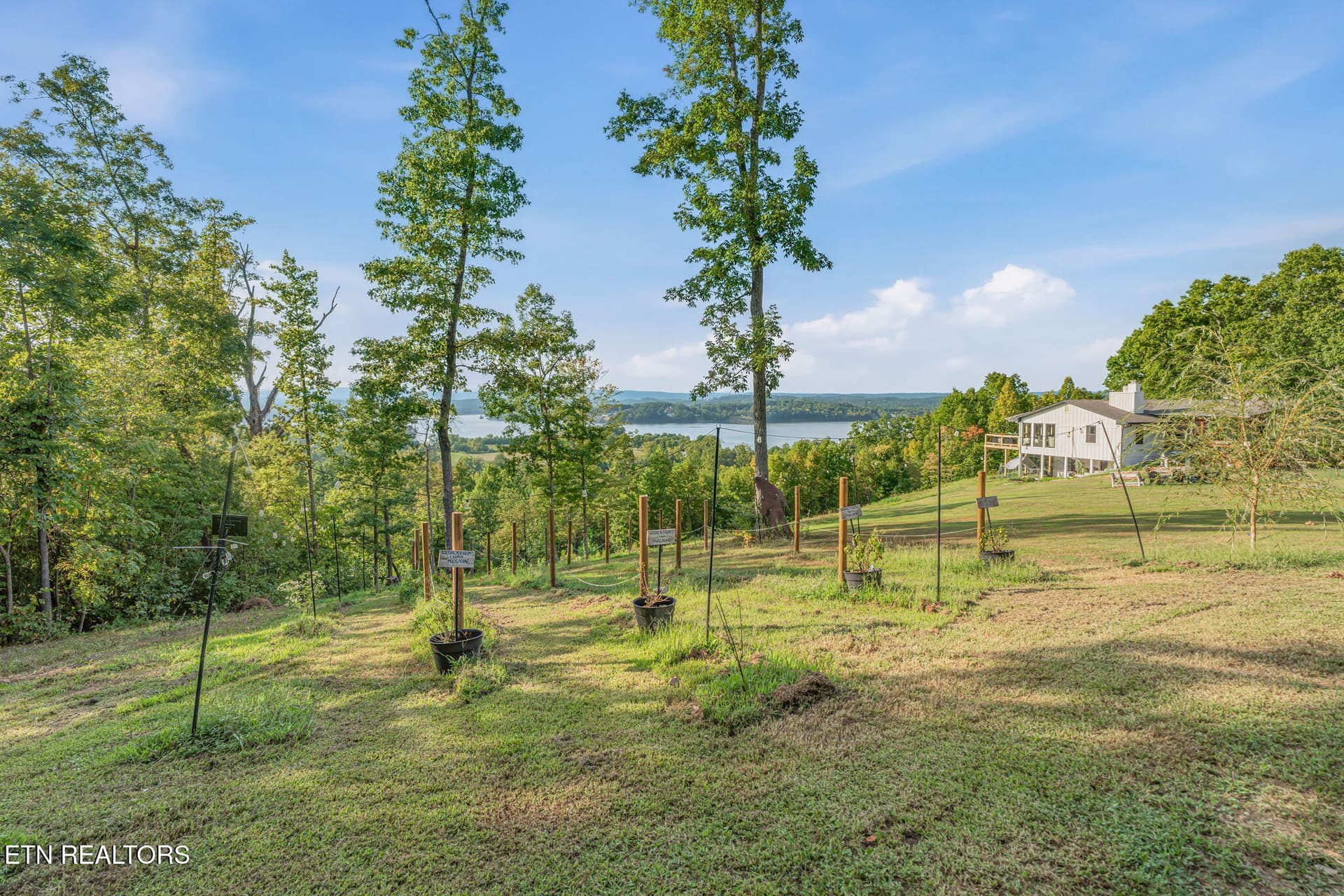 40-web-or-mls-340 Honeybee Lane-41 - 340 Honeybee Lane, Kingston, TN 37763
