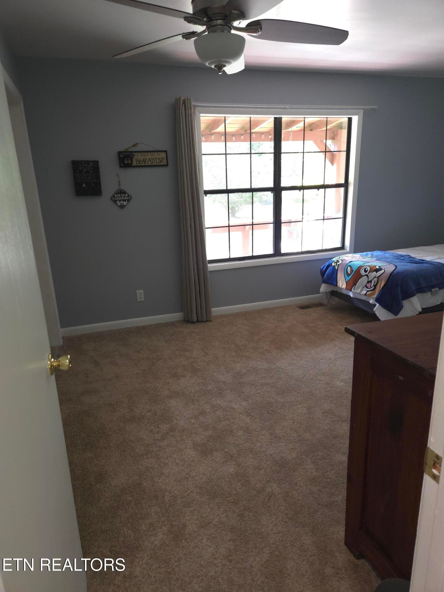 1000035245 - 134 Laurel Tr, Cosby, TN 37722