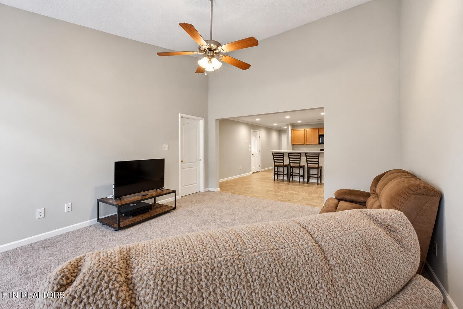 Living Area - 3707 Sean Grove Way, Knoxville, TN 37921, Knoxville