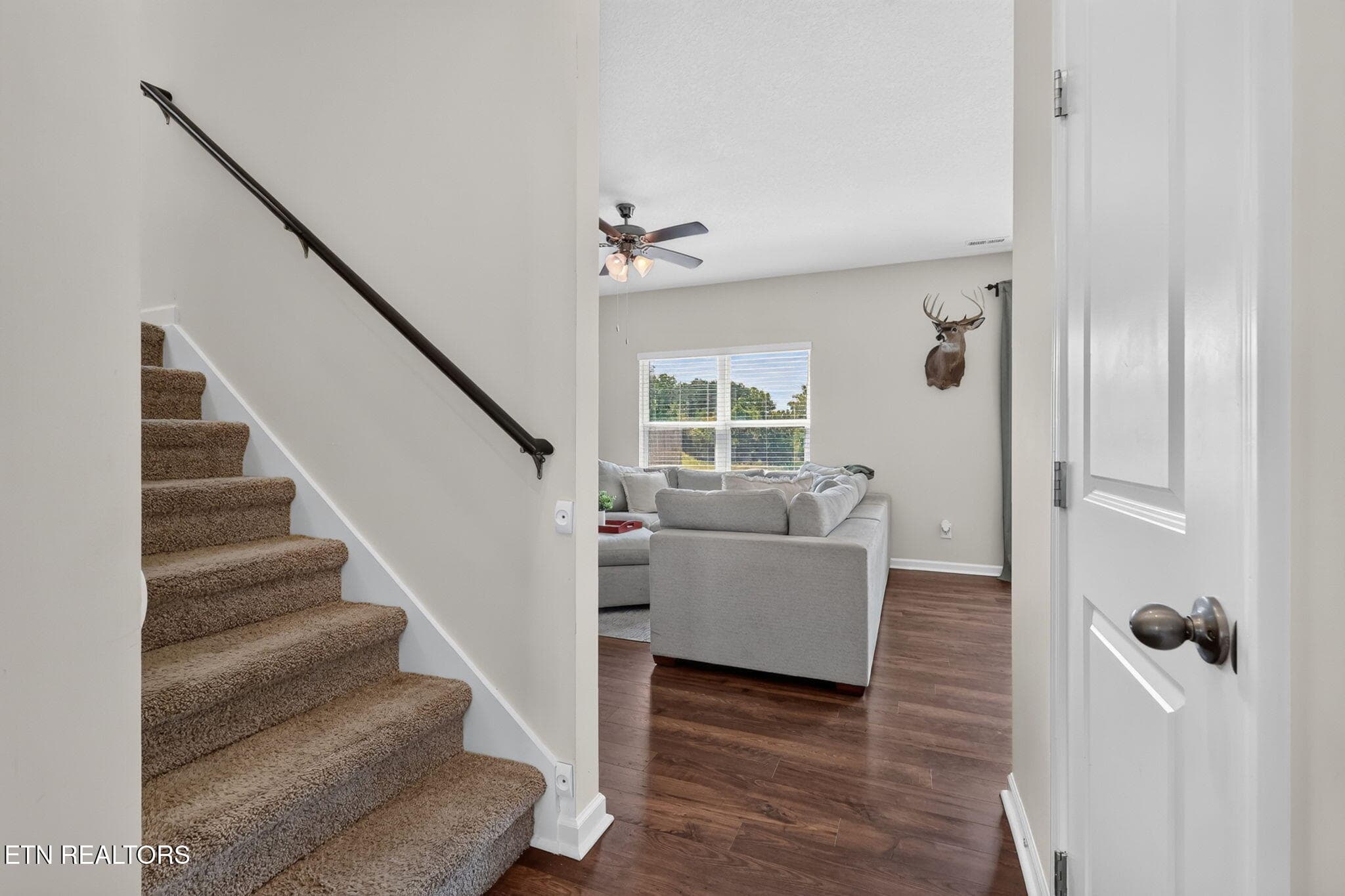 15-web-or-mls-3F1A4357 - 8647 Satellite Lane, Knoxville, TN 37920, Knoxville
