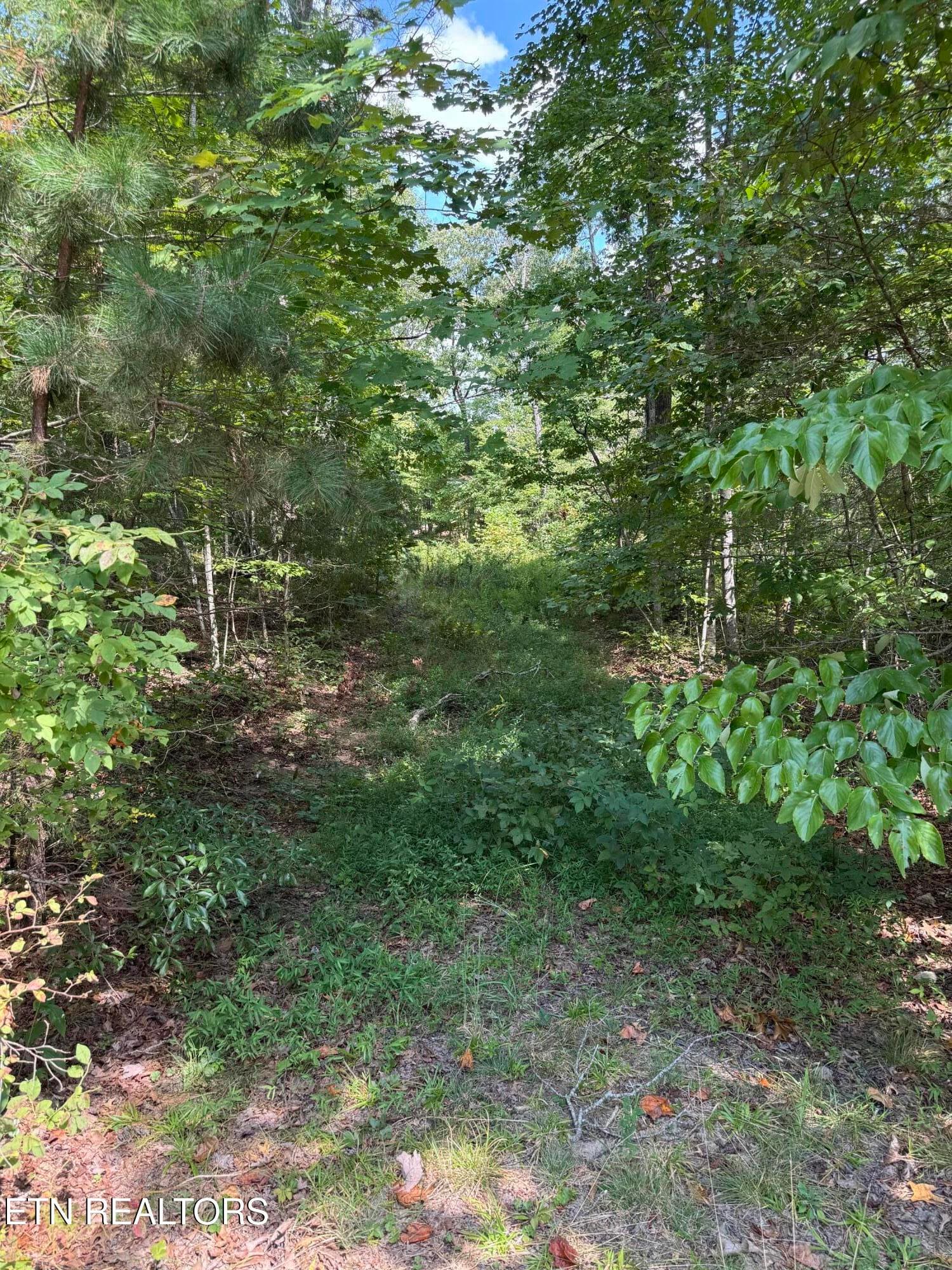 cliffmont 5 - Cliffmont Lot 32-33, Jamestown, TN 38556, Jamestown