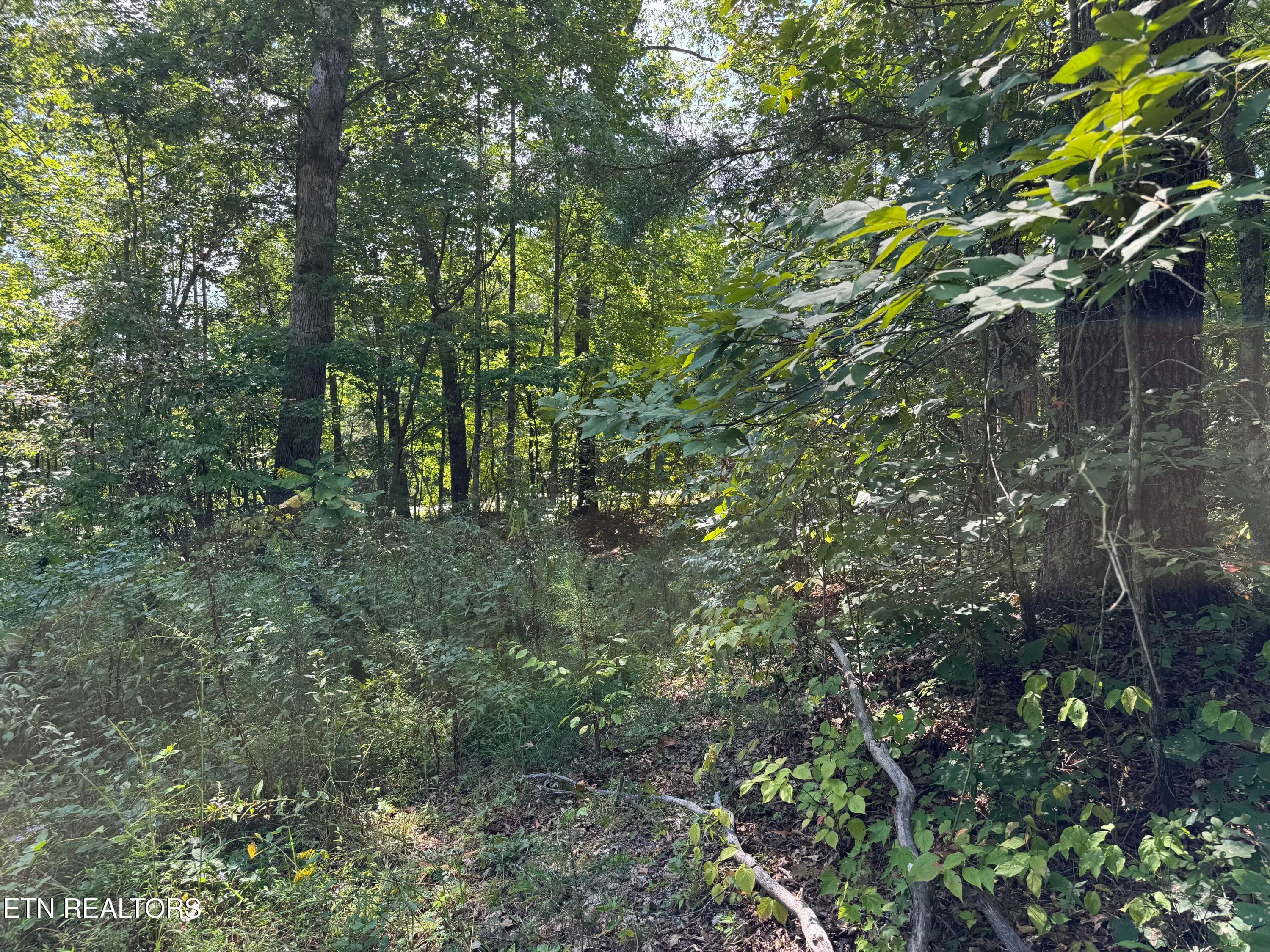 cliffmont 7 - Cliffmont Lot 32-33, Jamestown, TN 38556, Jamestown