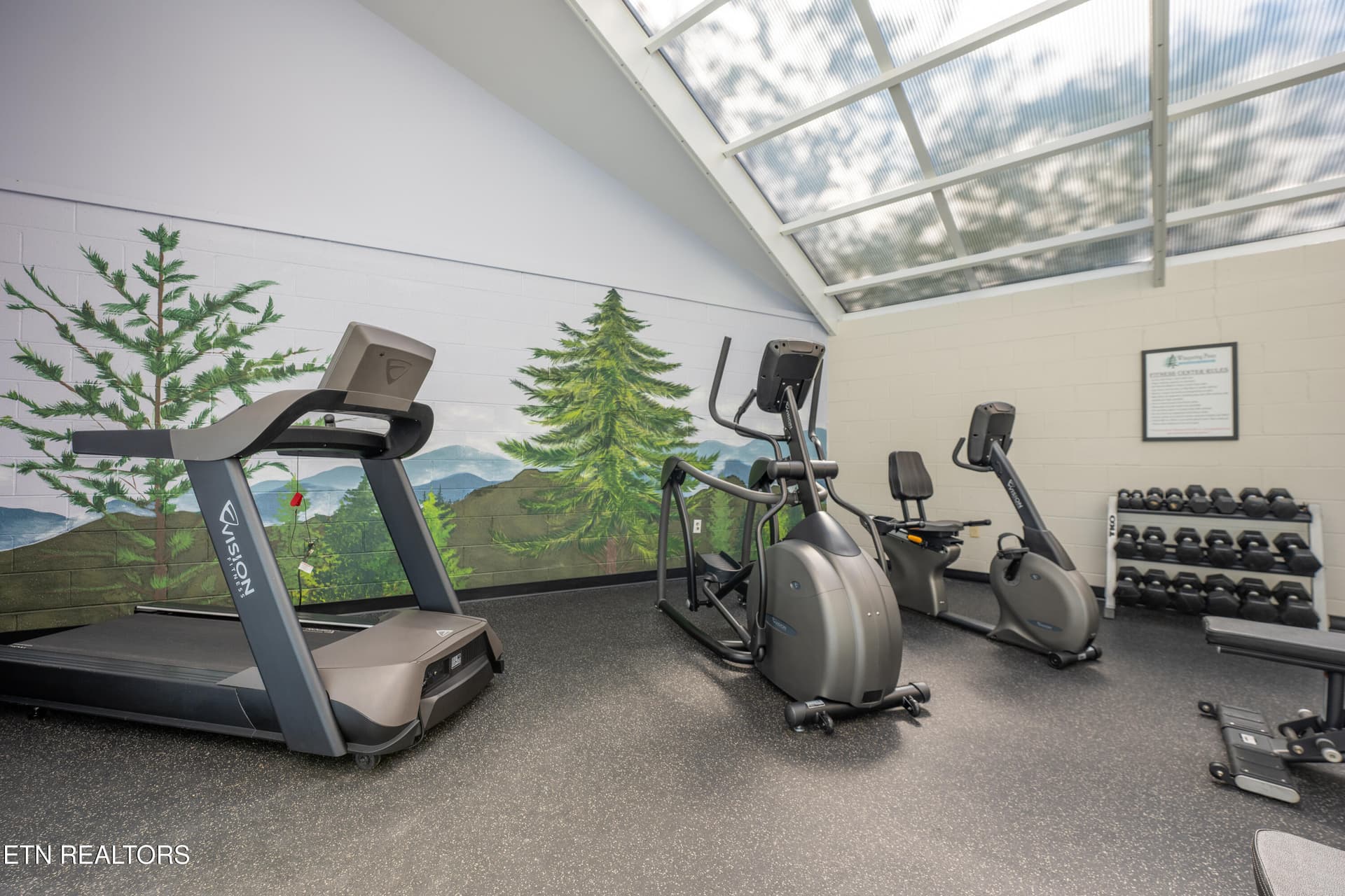 File 52 - 205 Ogle Drive 551, Pigeon Forge, TN 37863