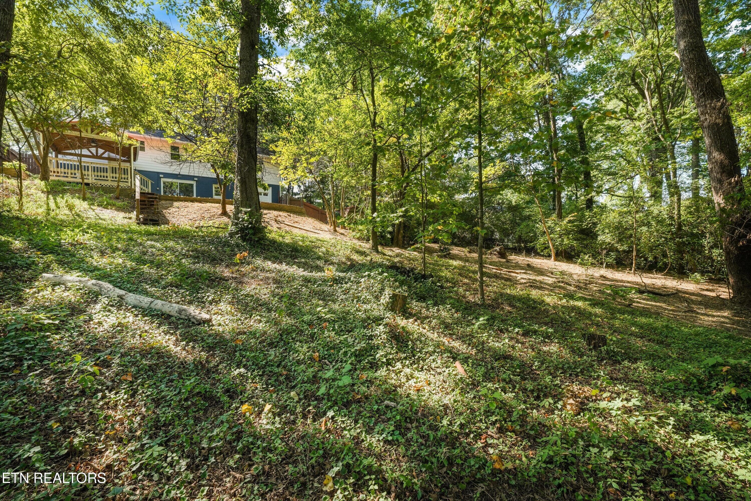 44-2837 Gaston Ave 19 - 2837 Gaston Ave, Knoxville, TN 37917, Knoxville