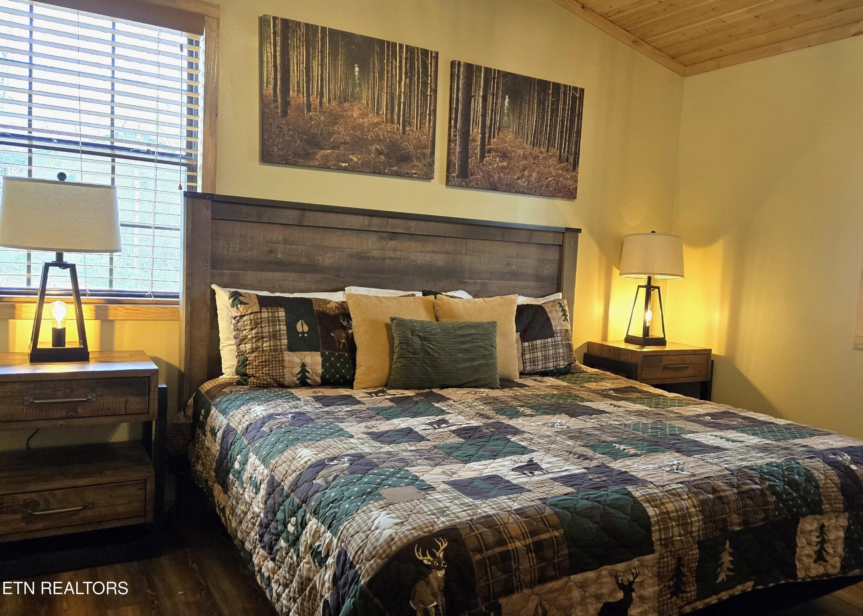 905 Sunrise Blvd Bed 2ff 3 2026 - Copy - 905 Sunrise Blvd, Sevierville, TN 37862