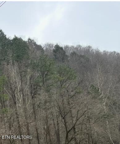 TBD KY-38, LeJunior, KY 40849