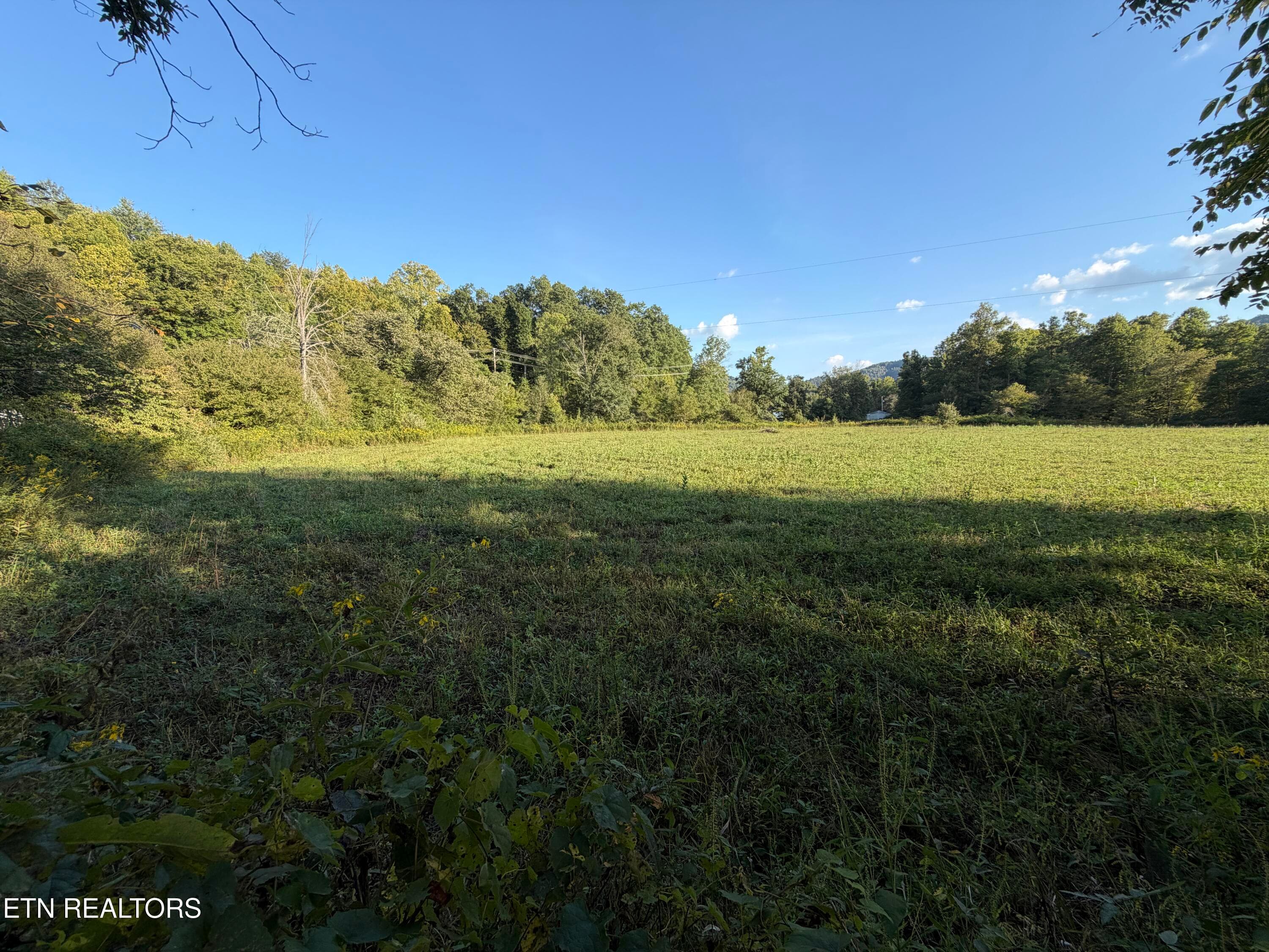 IMG_6510 - 5441 White Oak Rd, Duff, TN 37729, Duff