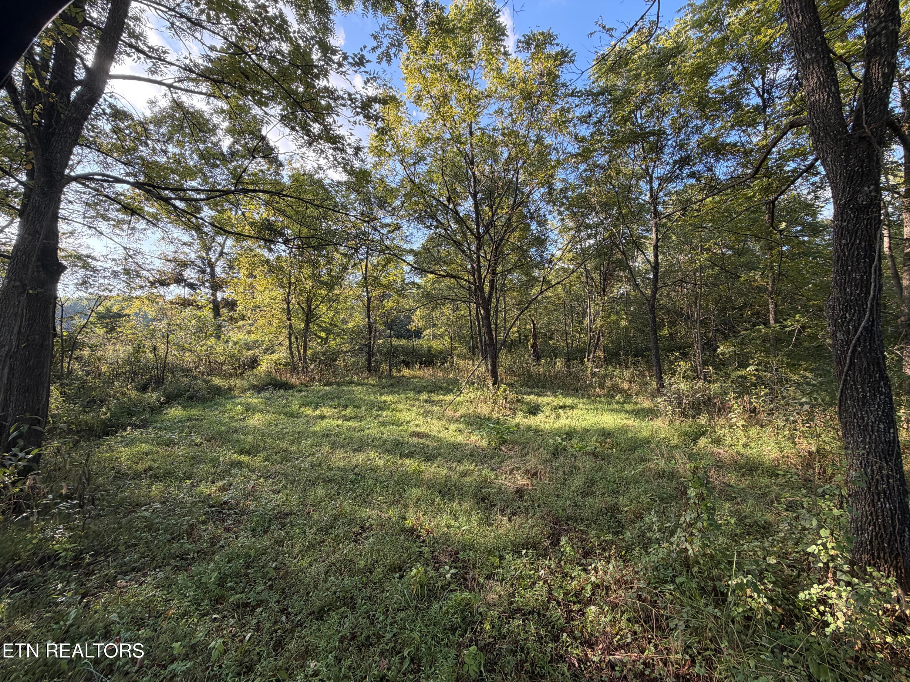 IMG_6512 - 5441 White Oak Rd, Duff, TN 37729, Duff