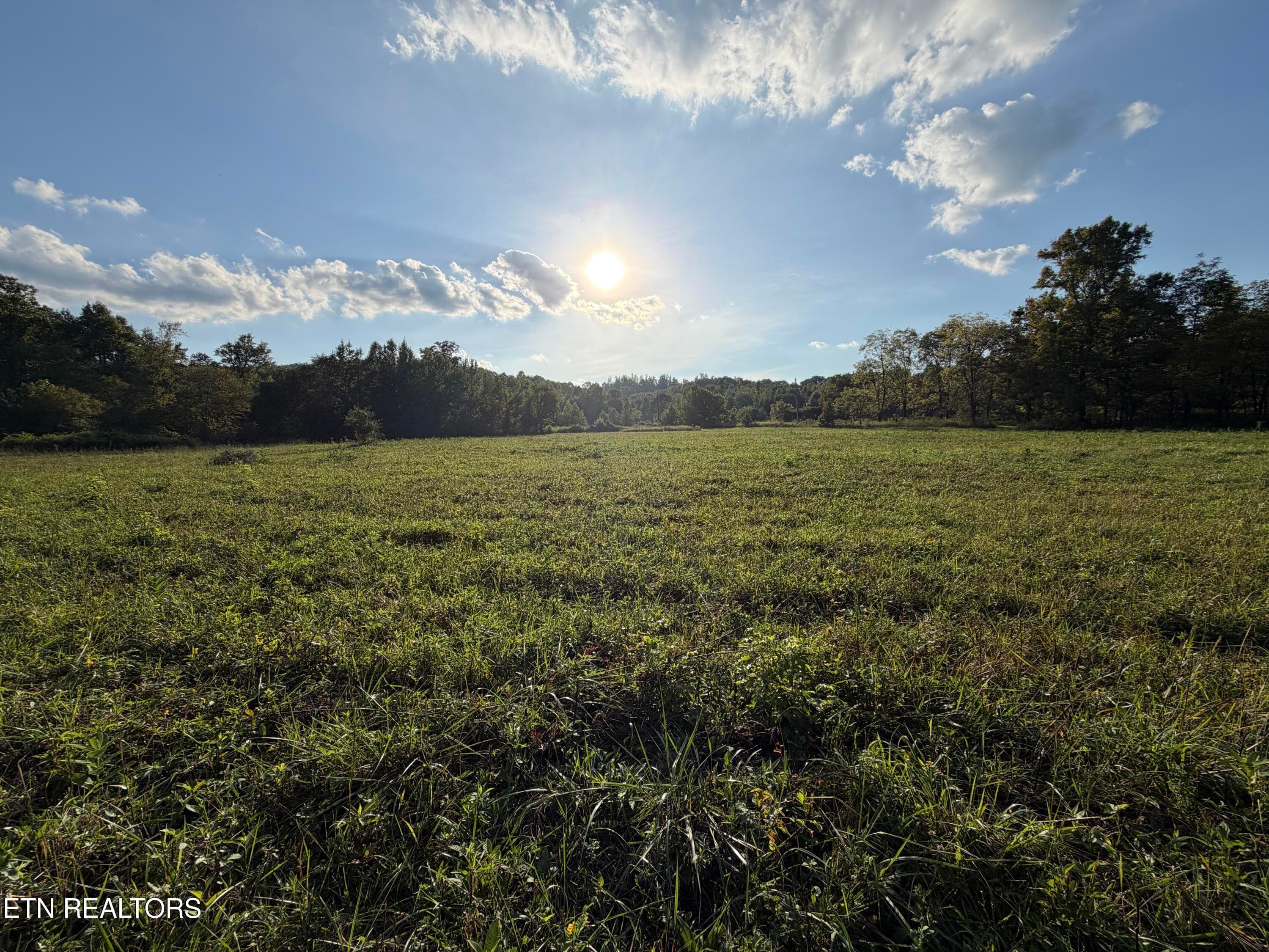 IMG_6516 - 5441 White Oak Rd, Duff, TN 37729, Duff