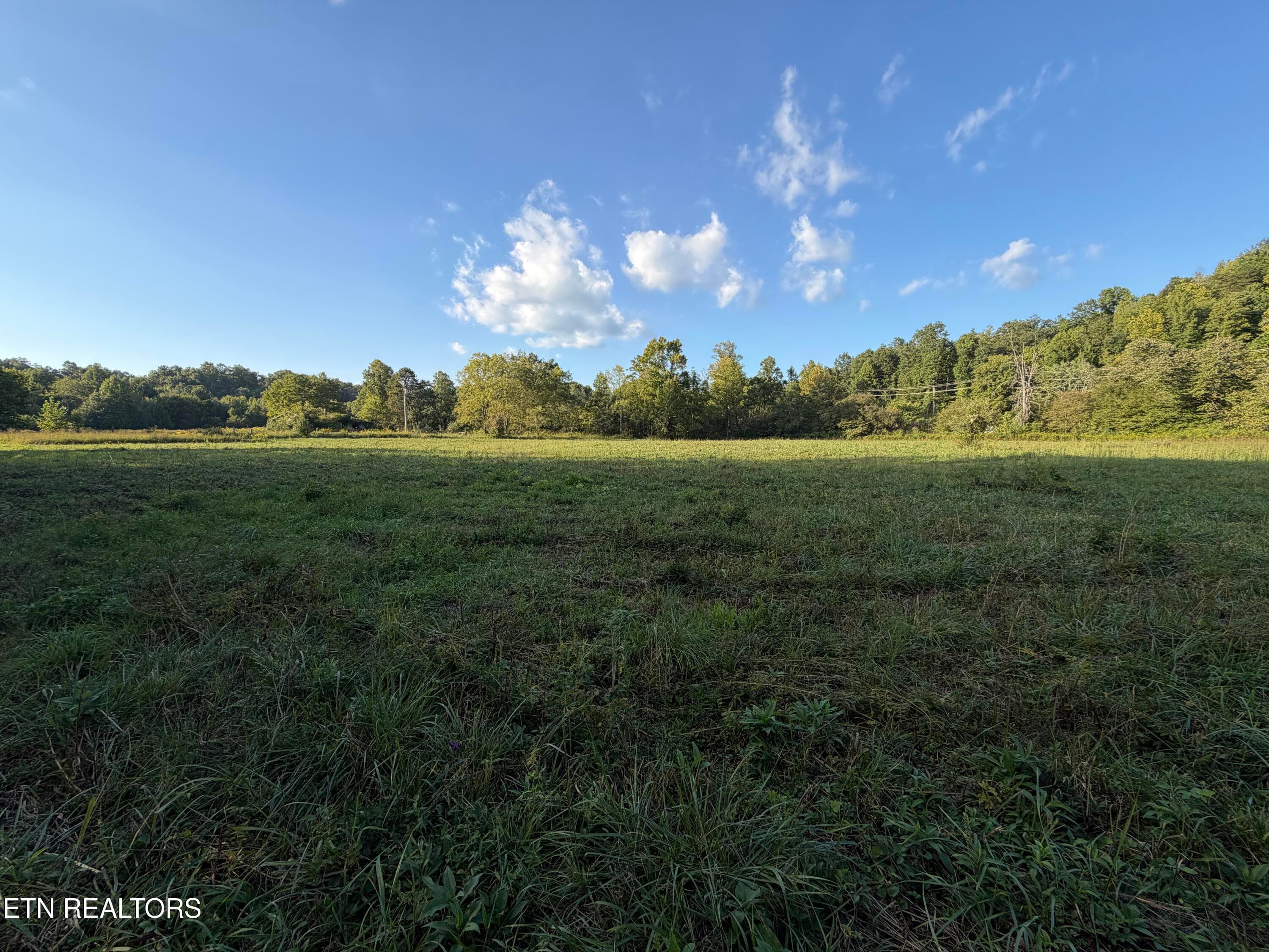 IMG_6519 - 5441 White Oak Rd, Duff, TN 37729, Duff