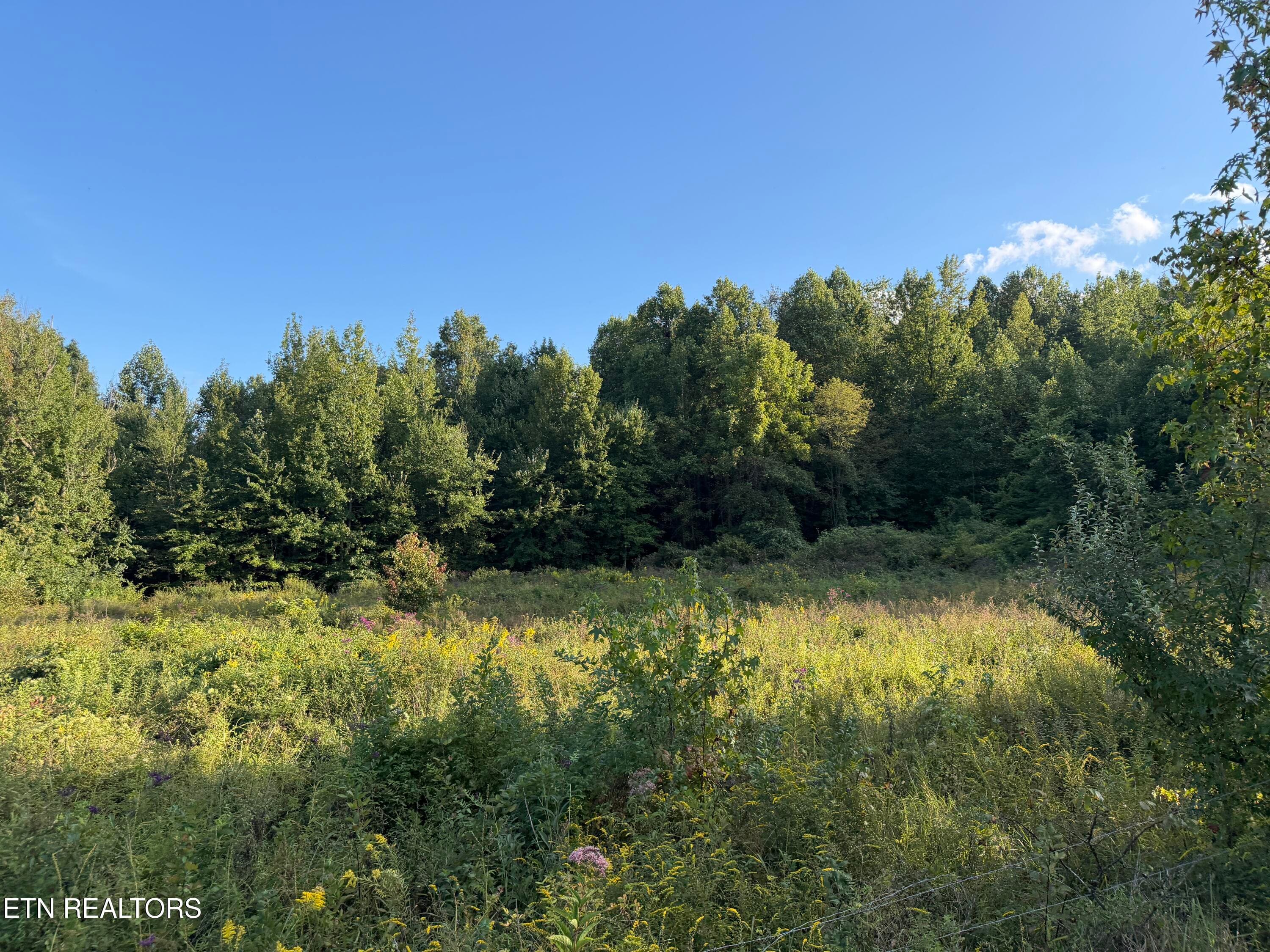 IMG_6526 - 5441 White Oak Rd, Duff, TN 37729, Duff