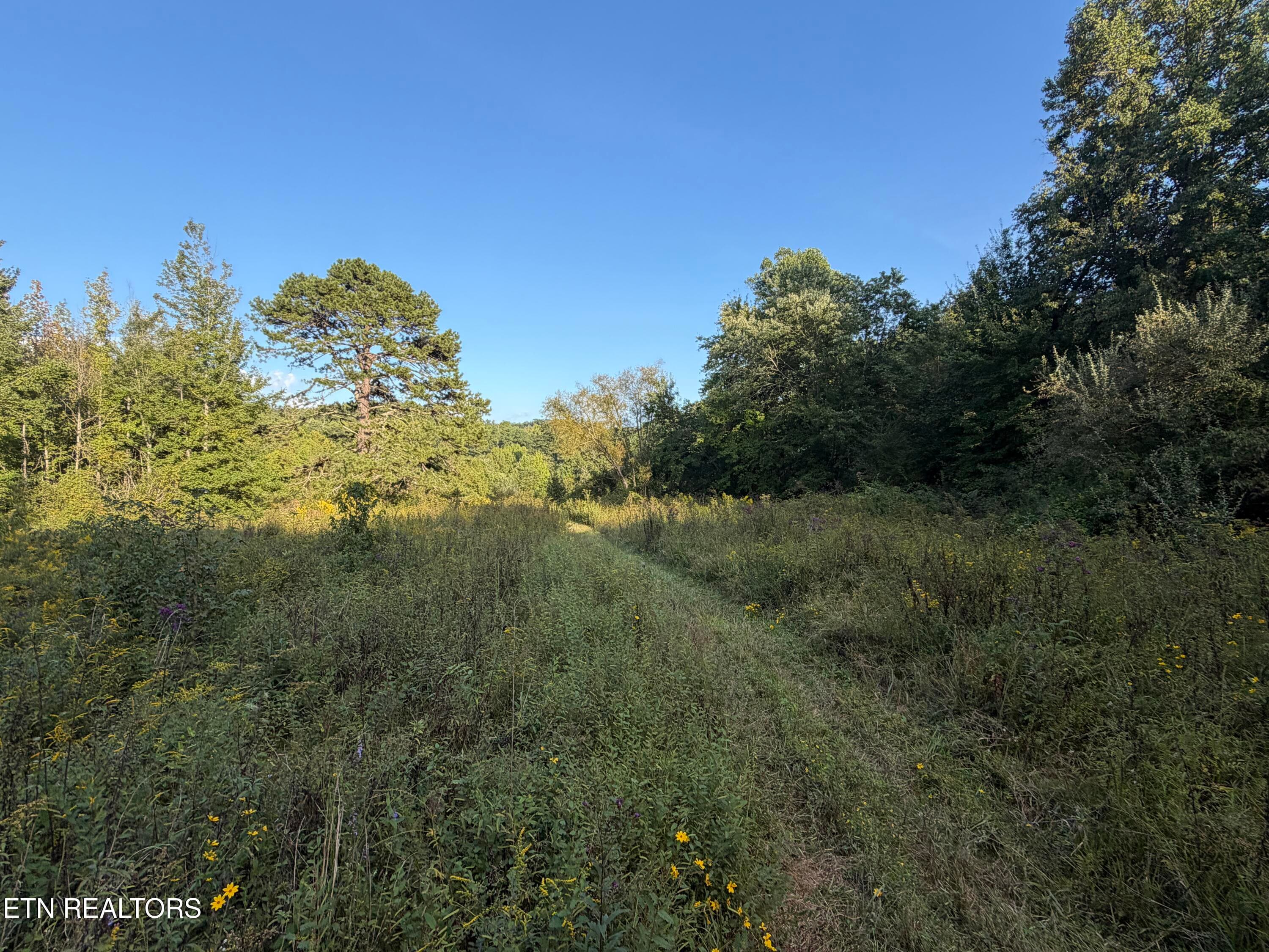 IMG_6528 - 5441 White Oak Rd, Duff, TN 37729, Duff