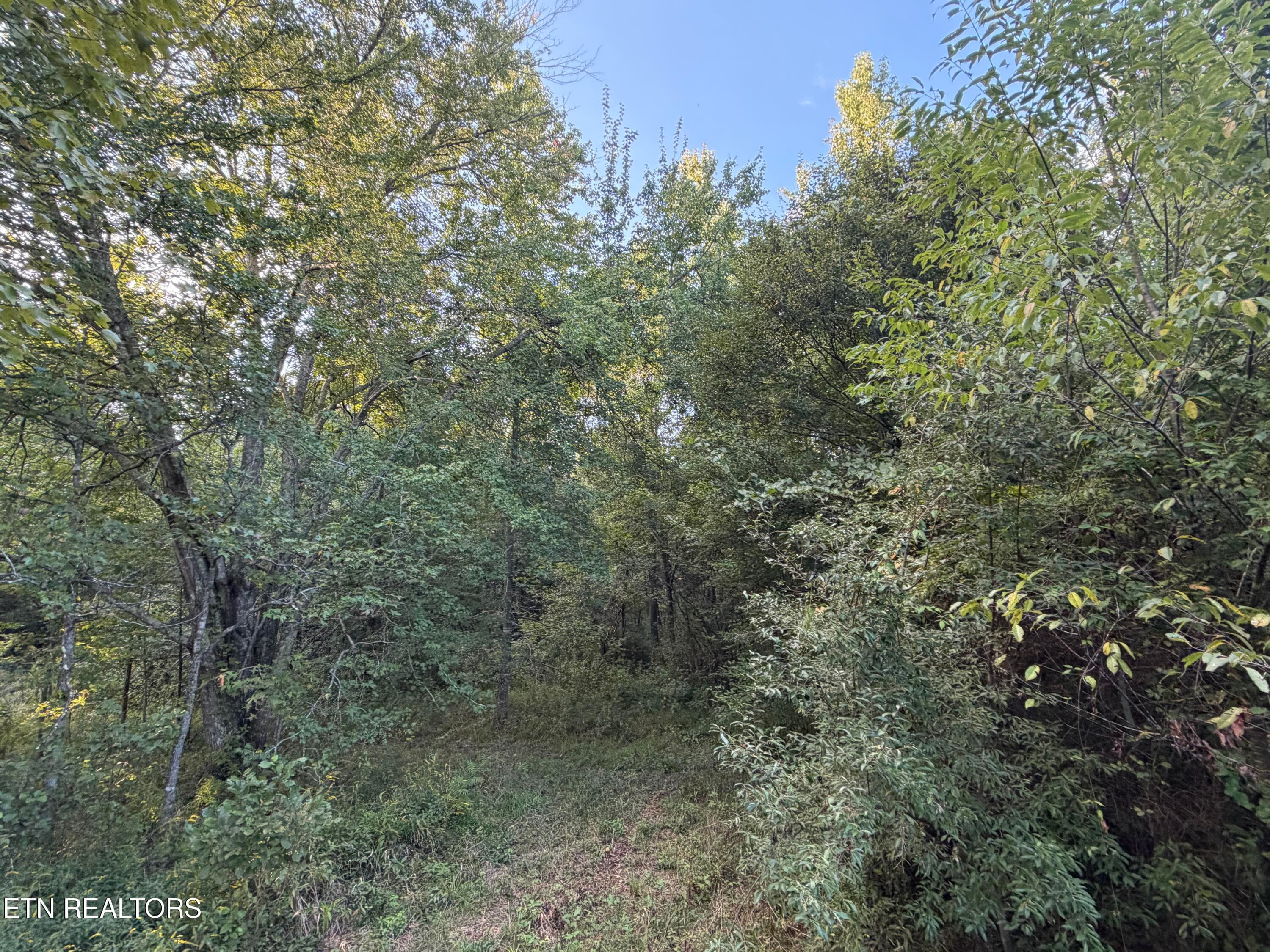 IMG_6530 - 5441 White Oak Rd, Duff, TN 37729, Duff