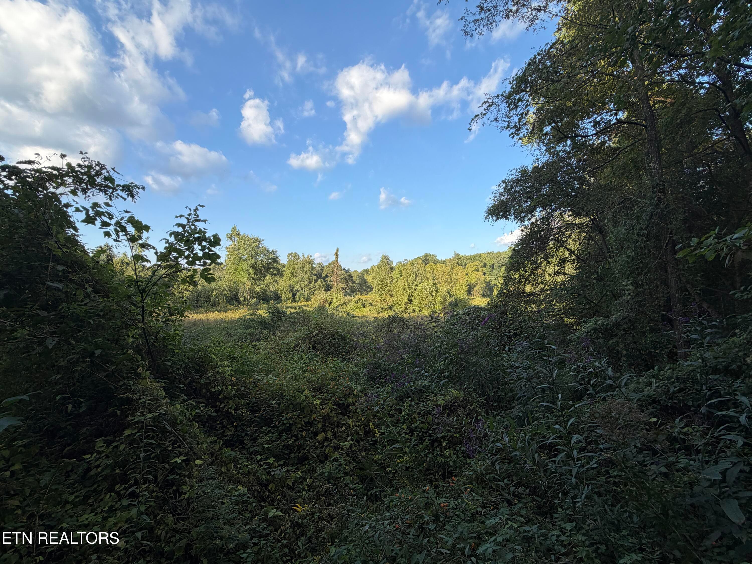 IMG_6532 - 5441 White Oak Rd, Duff, TN 37729, Duff