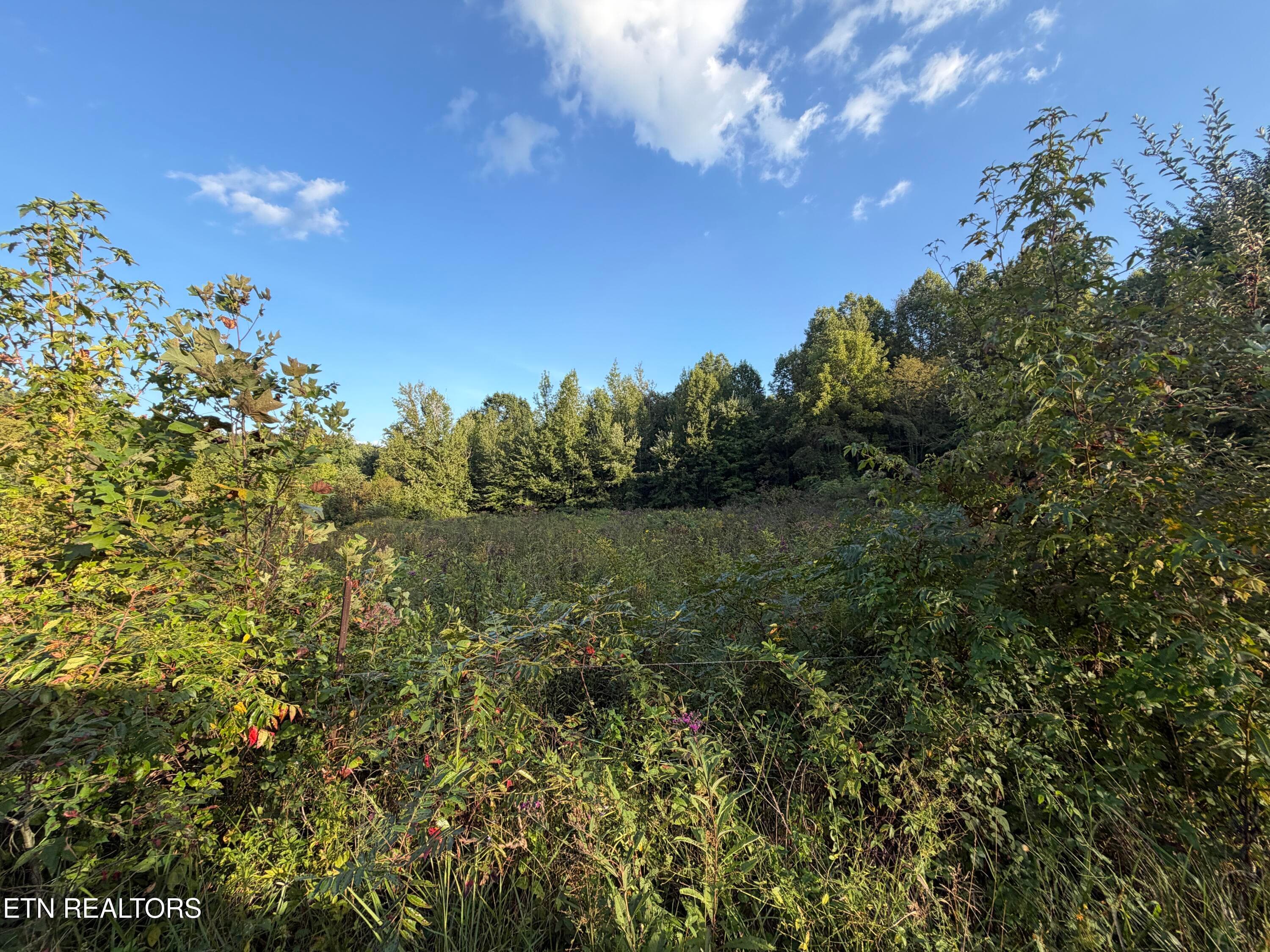 IMG_6539 - 5441 White Oak Rd, Duff, TN 37729, Duff