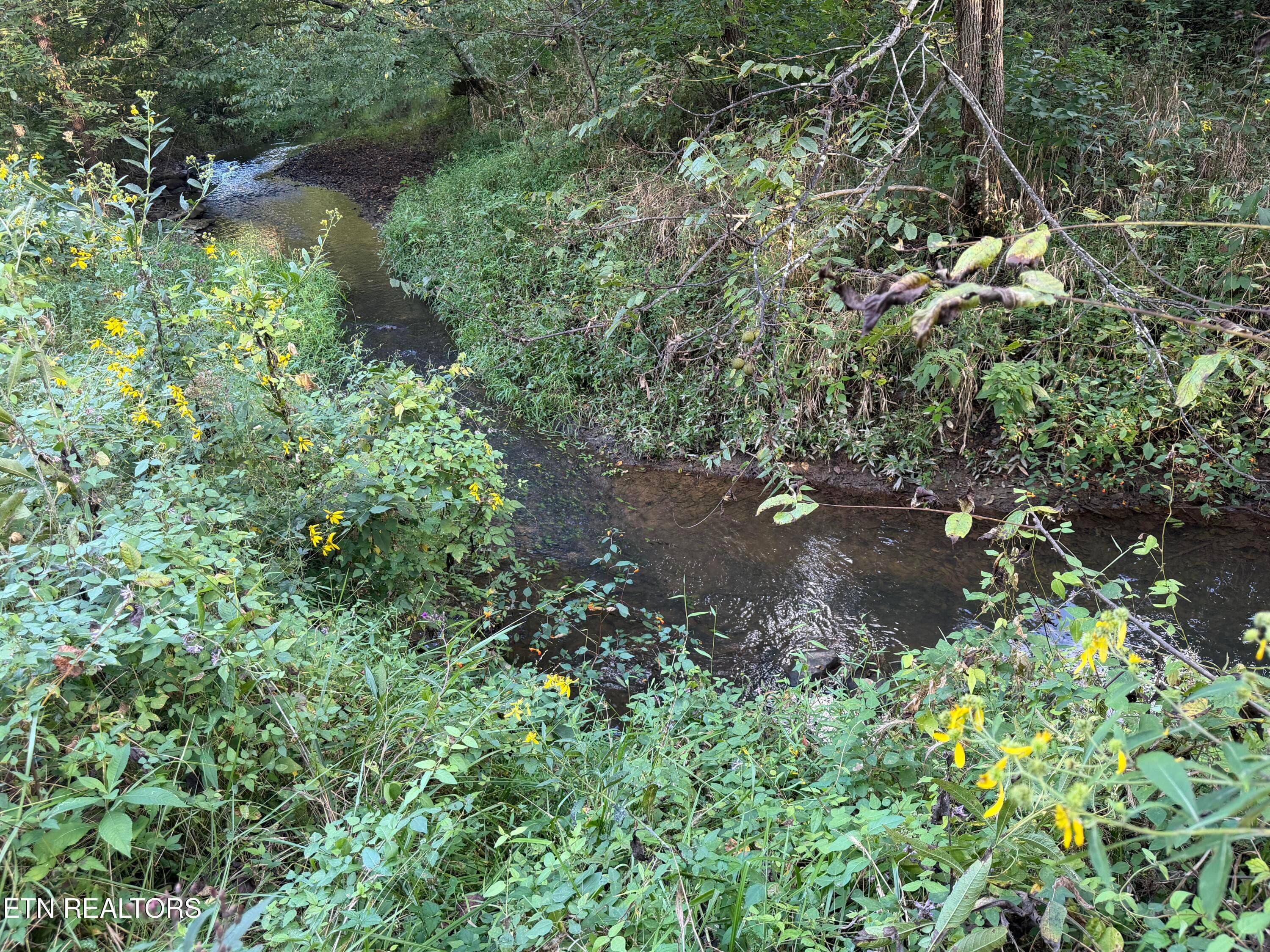IMG_6540 - 5441 White Oak Rd, Duff, TN 37729, Duff