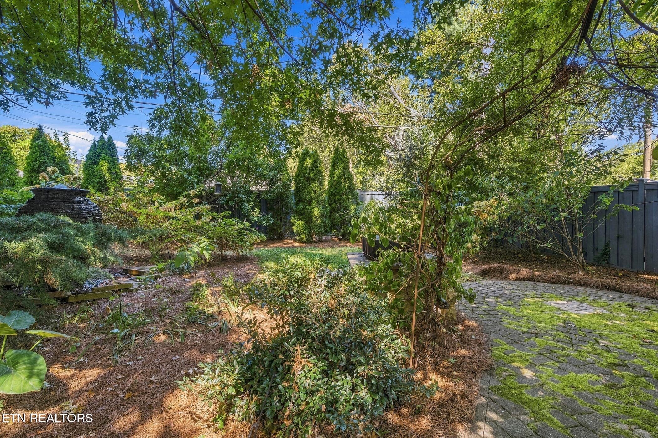 dsc09496 - 1903 Fairmont Blvd, Knoxville, TN 37917, Knoxville
