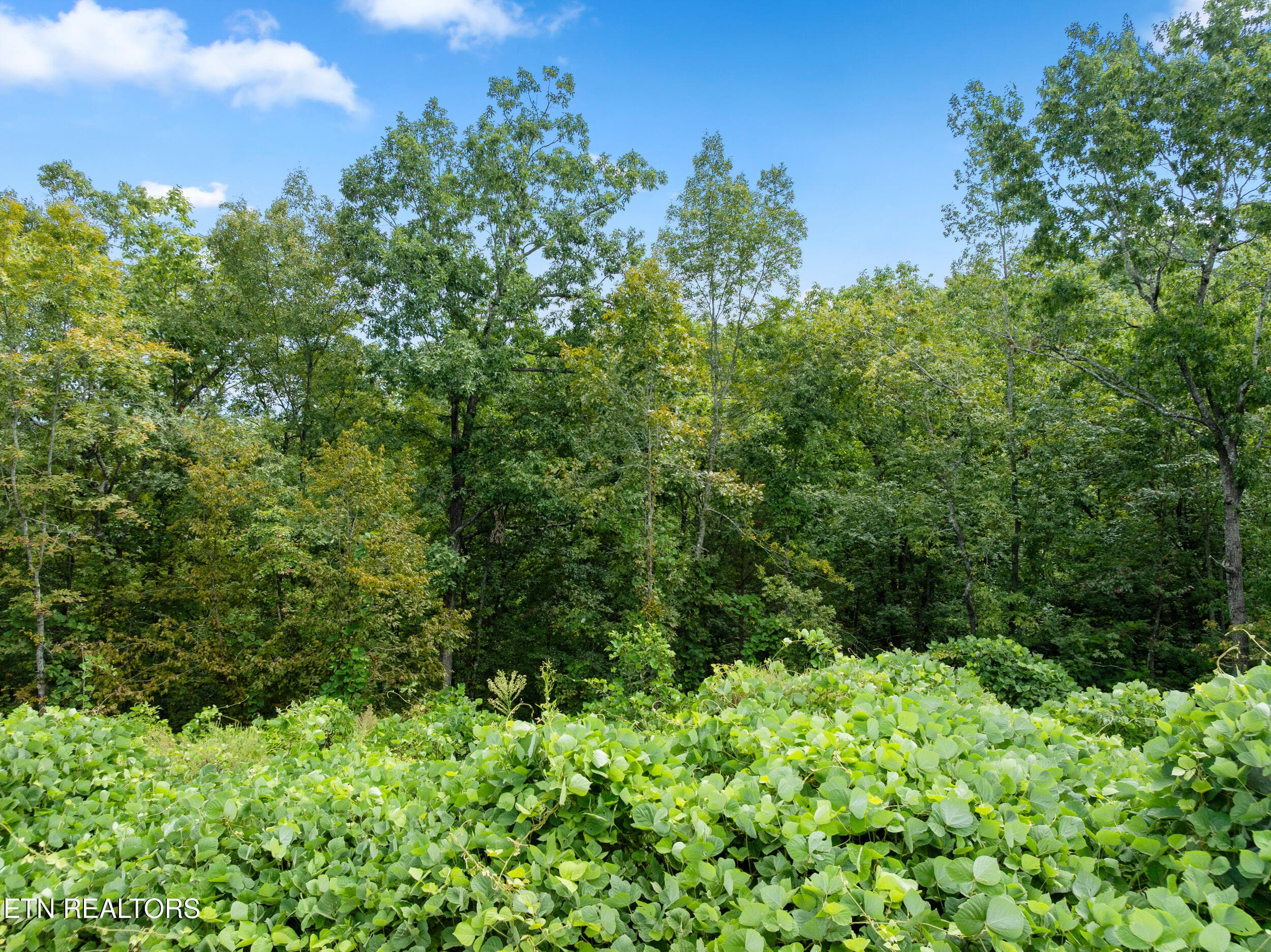 lot 8 pine valley-10 - Pine Valley Way Lot 8, Pigeon Forge, TN 37862, Pigeon Forge