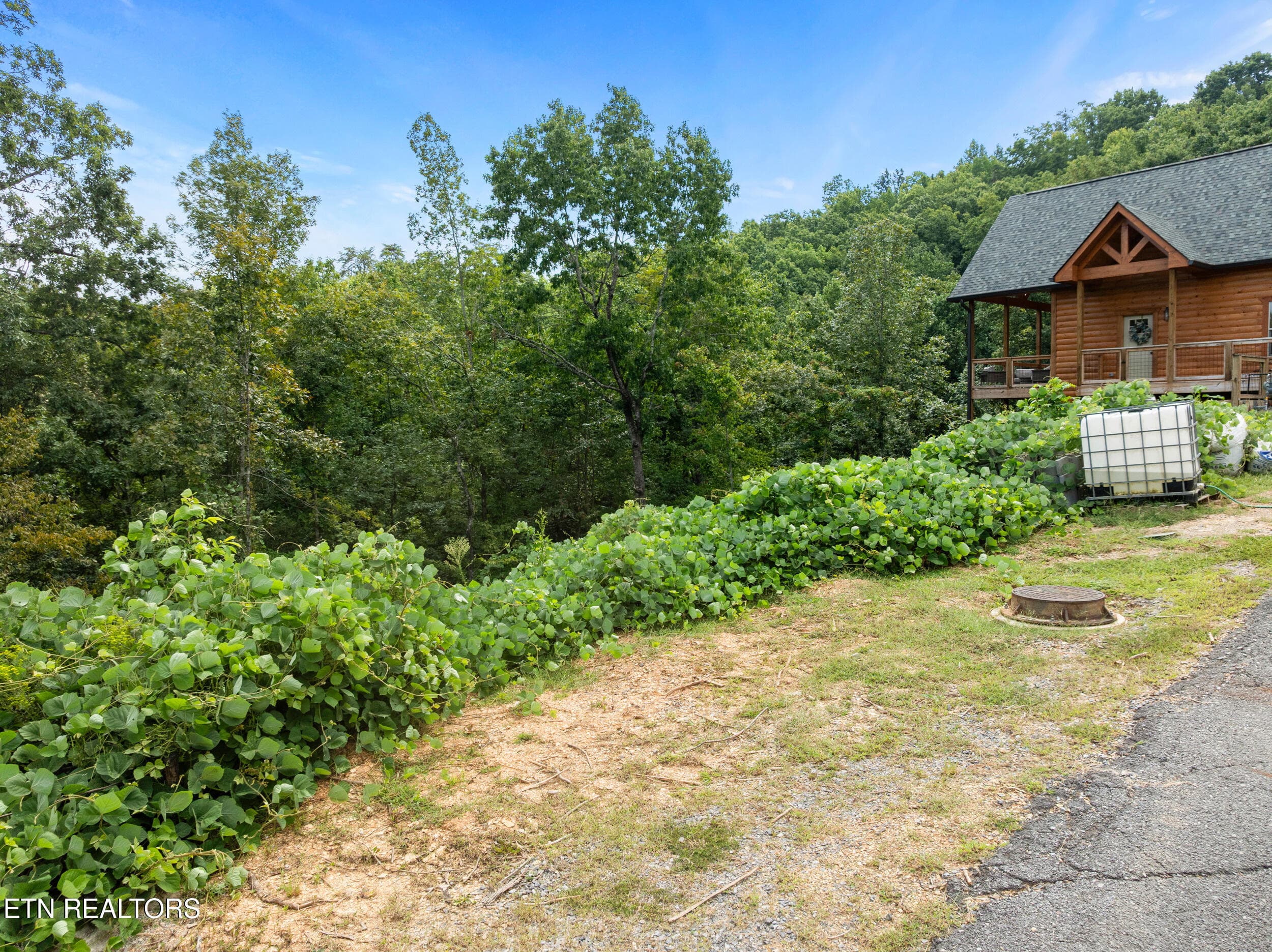 lot 8 pine valley-1 - Pine Valley Way Lot 8, Pigeon Forge, TN 37862, Pigeon Forge