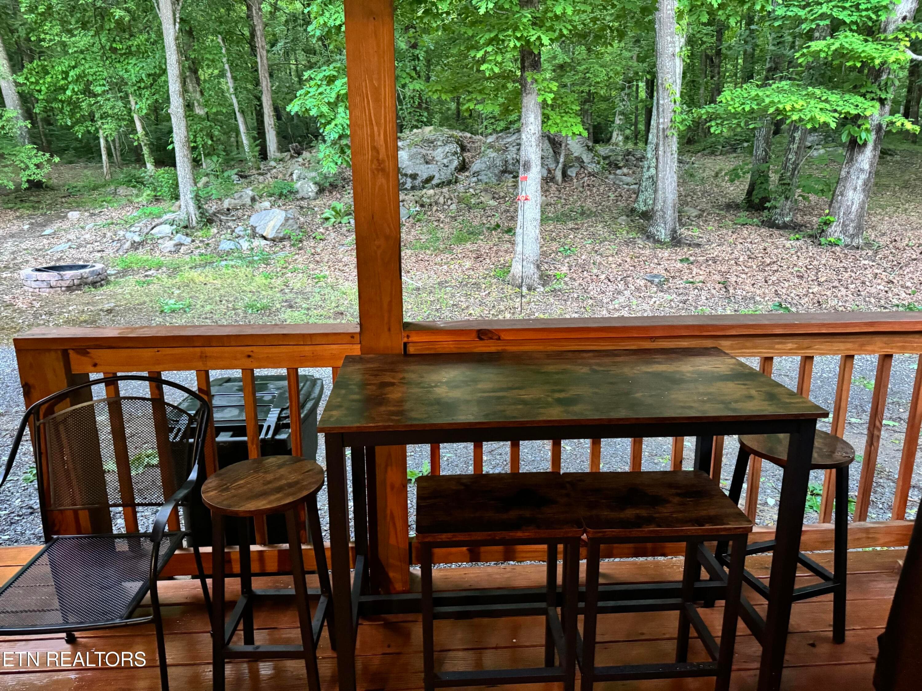 19_beyc6a18817c7746a - 910 English Mtn Rd, Cosby, TN 37722, Cosby