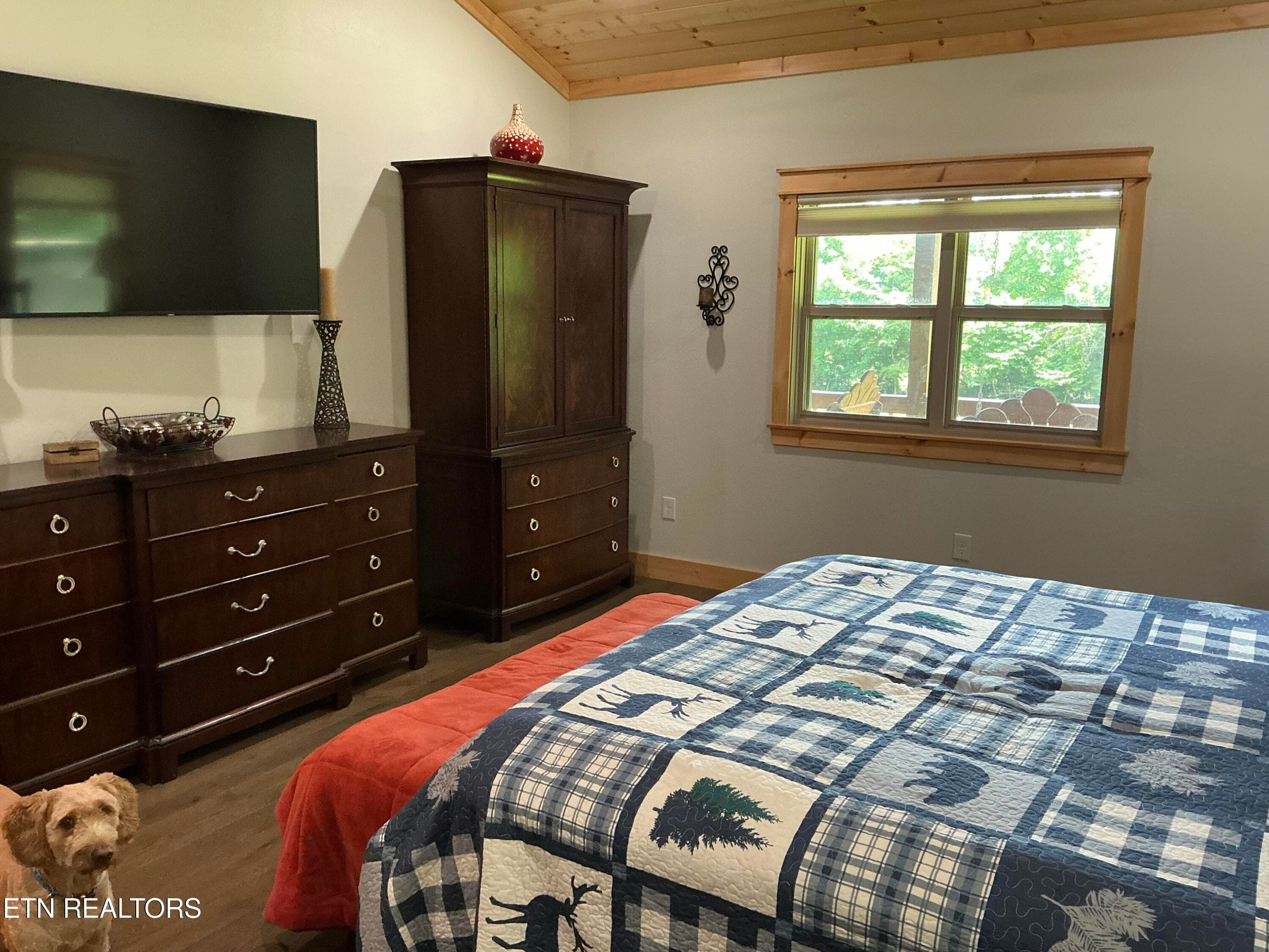 29_beyc6a32aad8b9b31 - 910 English Mtn Rd, Cosby, TN 37722, Cosby