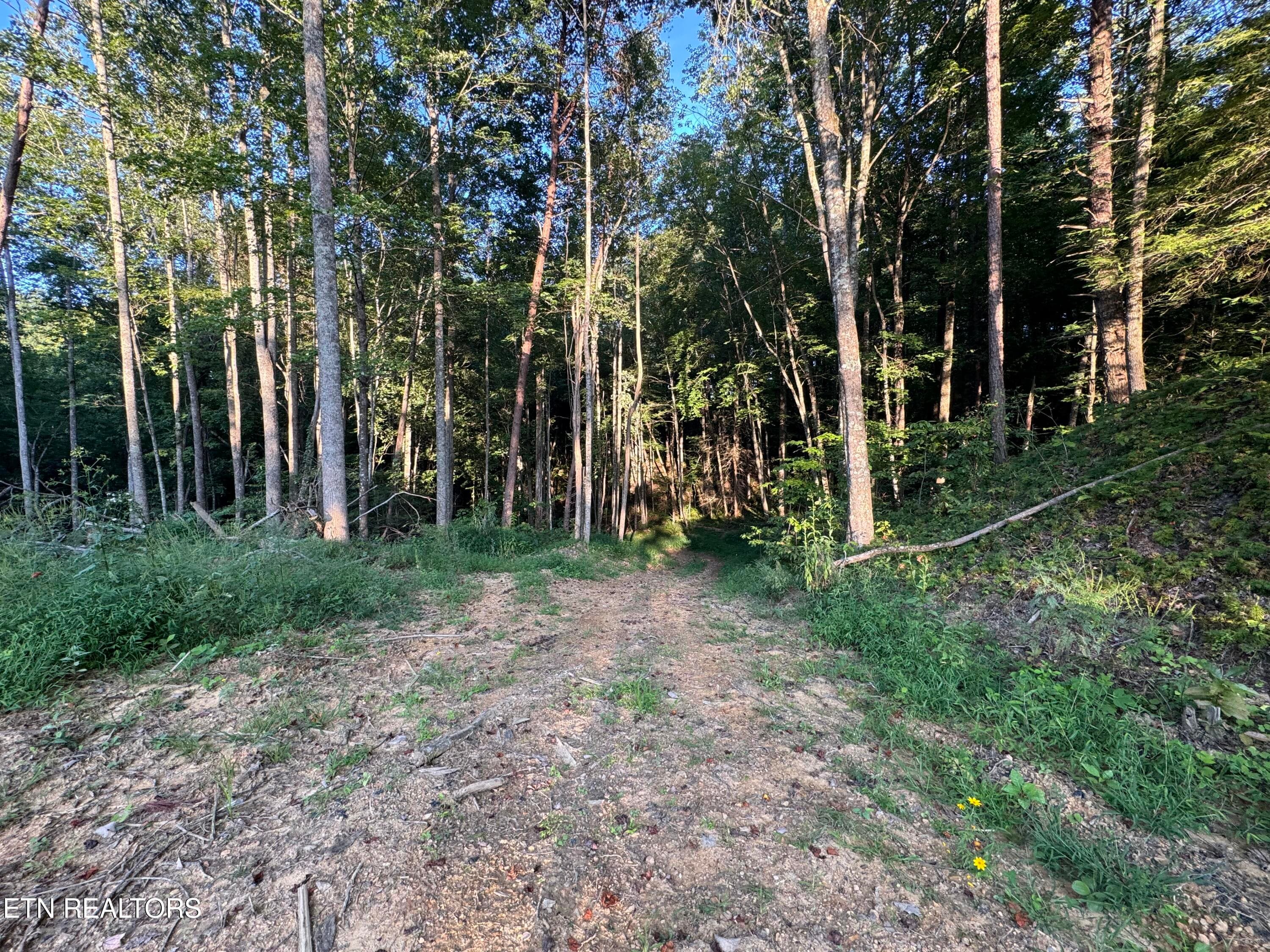 EE8AEA6D-6342-4A5F-BFC7-AB1C81ADFC7D - 150 Timber Oaks Lane, Pioneer, TN 37847, Pioneer