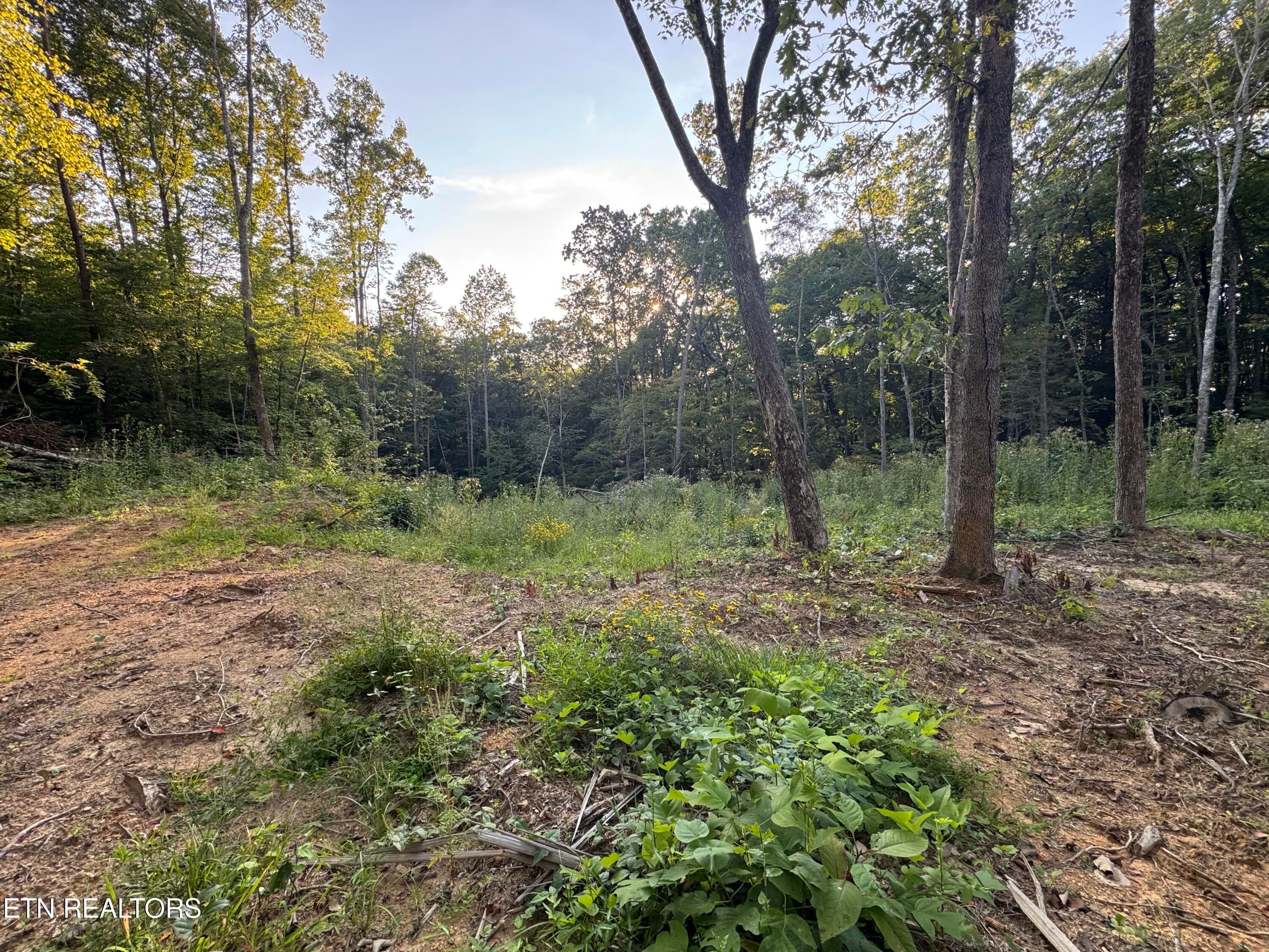 B244EE01-6443-487F-9FF5-957E0CB4568D - 150 Timber Oaks Lane, Pioneer, TN 37847, Pioneer