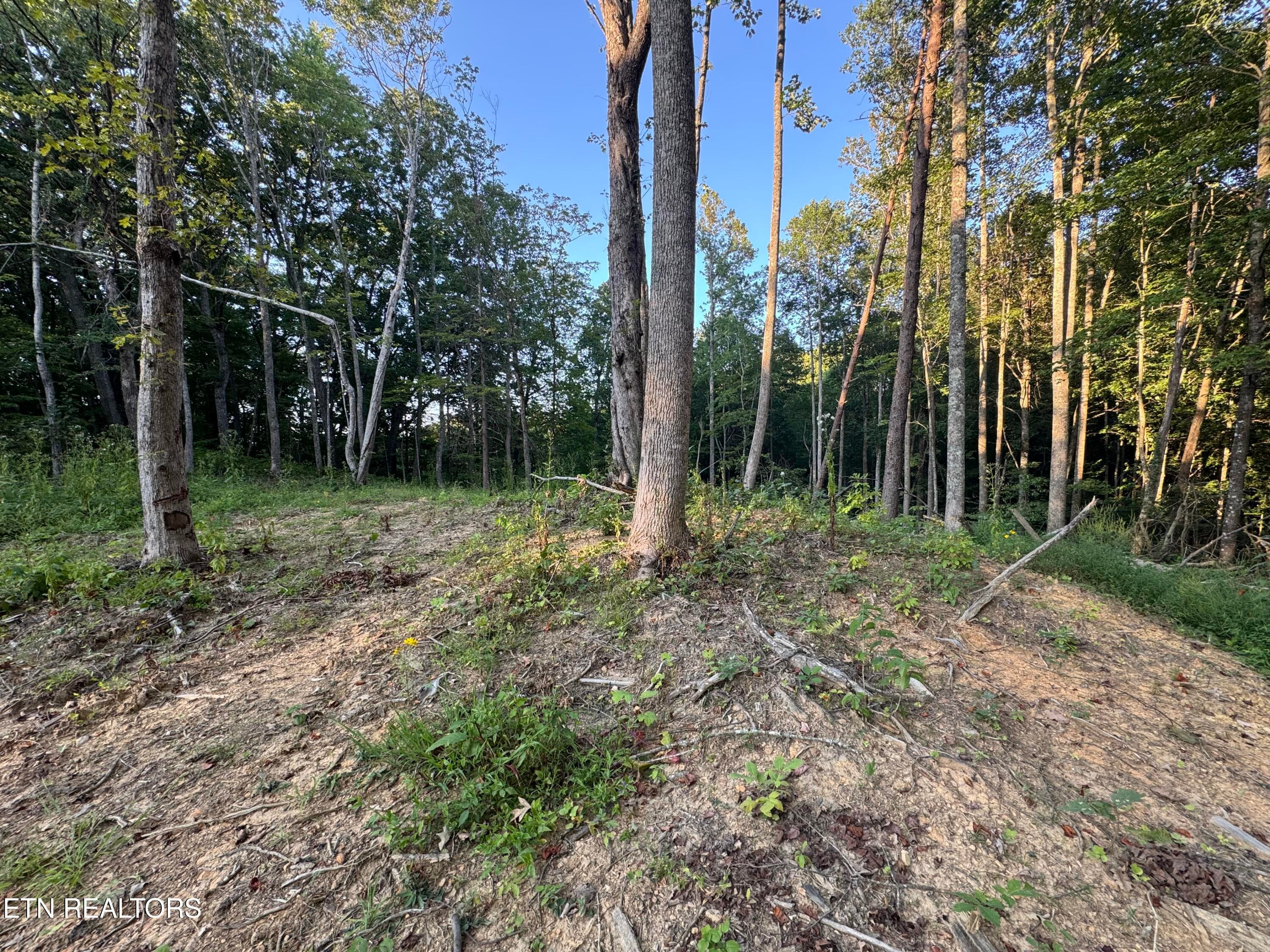 6F27C4C6-8500-4EAD-915C-148CCAB412AC - 150 Timber Oaks Lane, Pioneer, TN 37847, Pioneer
